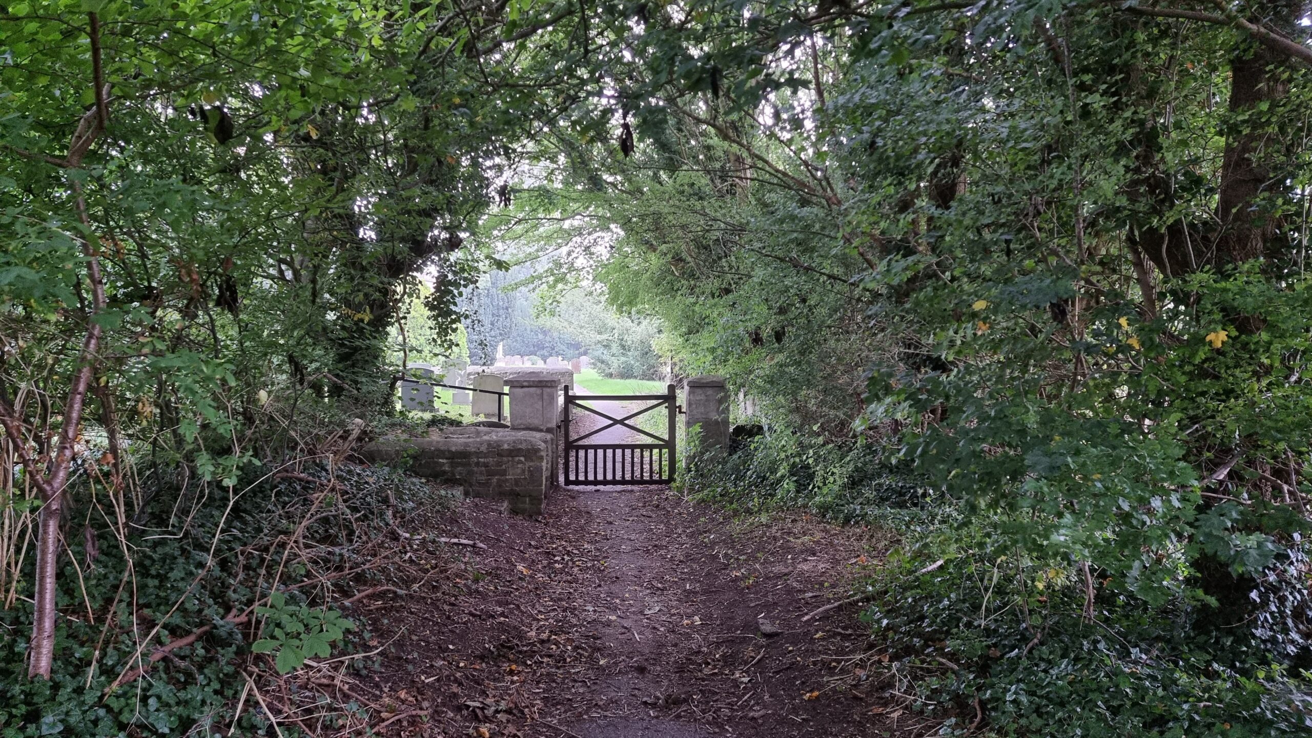 Full image of Churchyard gate at the end of a tree-lined path.