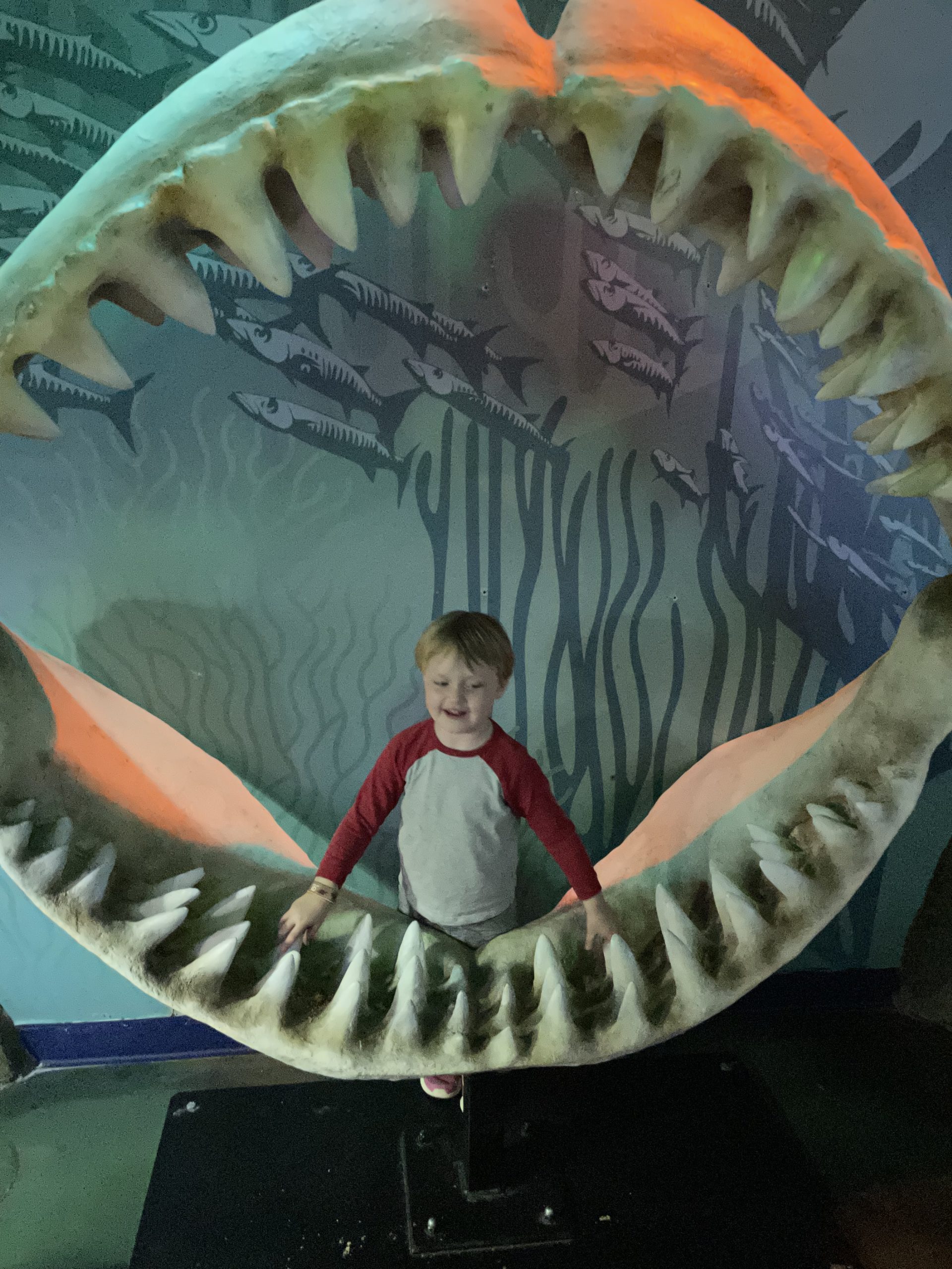 Full image of Boy in the (bones of the) mouth of a shark.