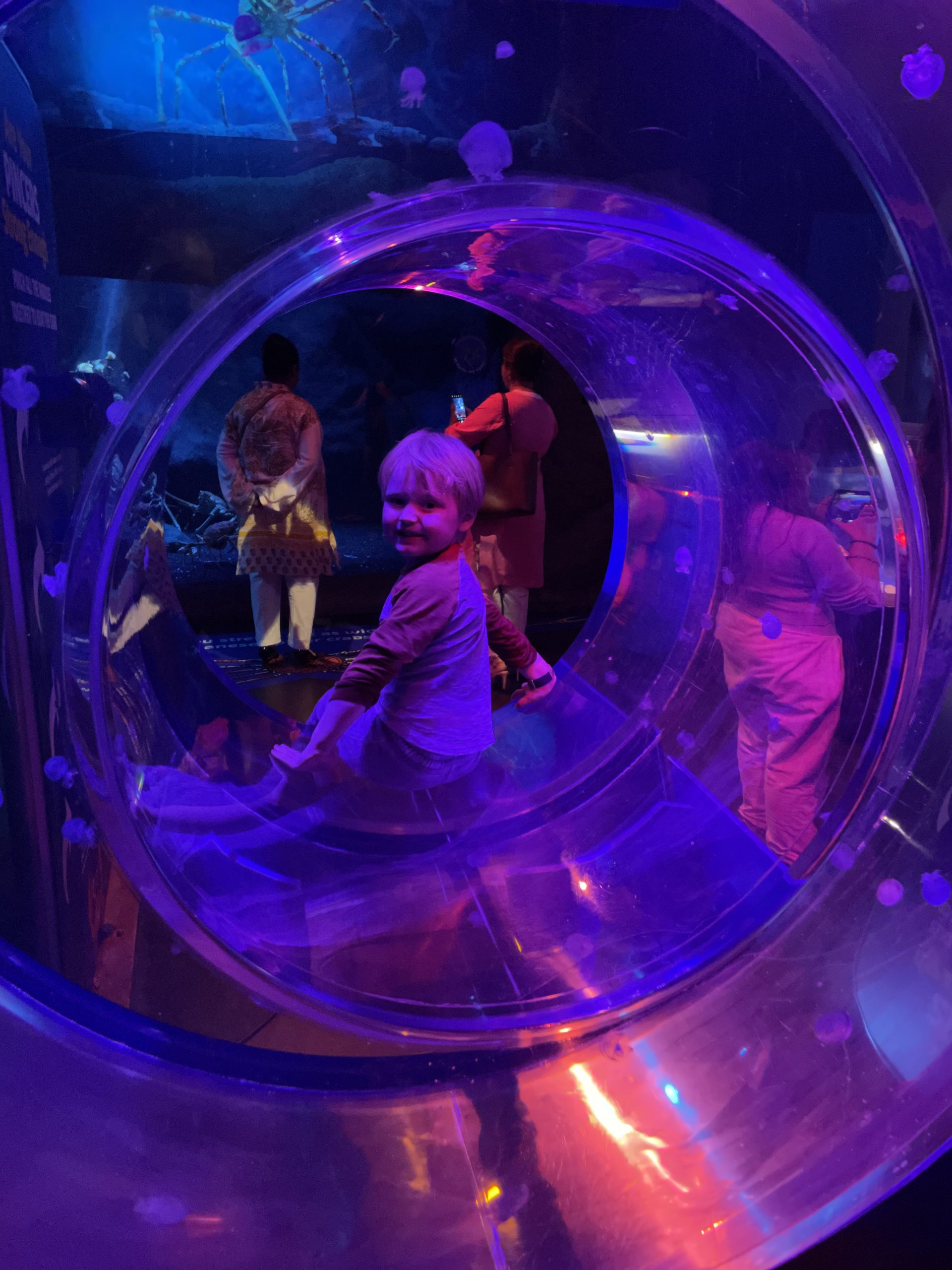 Full image of Underwater transparent tube with fish outside and children inside.