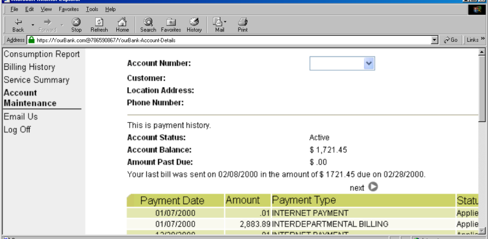 Internet Explorer window showing https://YourBank.com@786590867/ in the address bar.