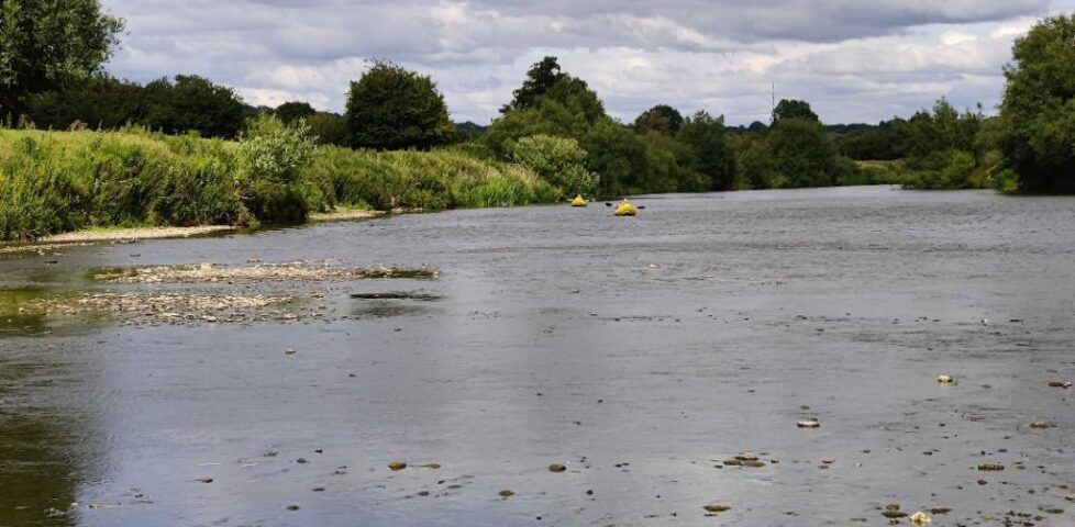 A pair of inflatable yellow canoes approach from the distance along a wide, calm river.