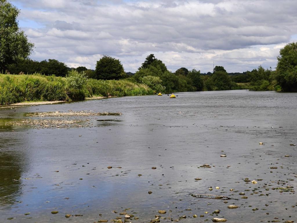 A pair of inflatable yellow canoes approach from the distance along a wide, calm river.