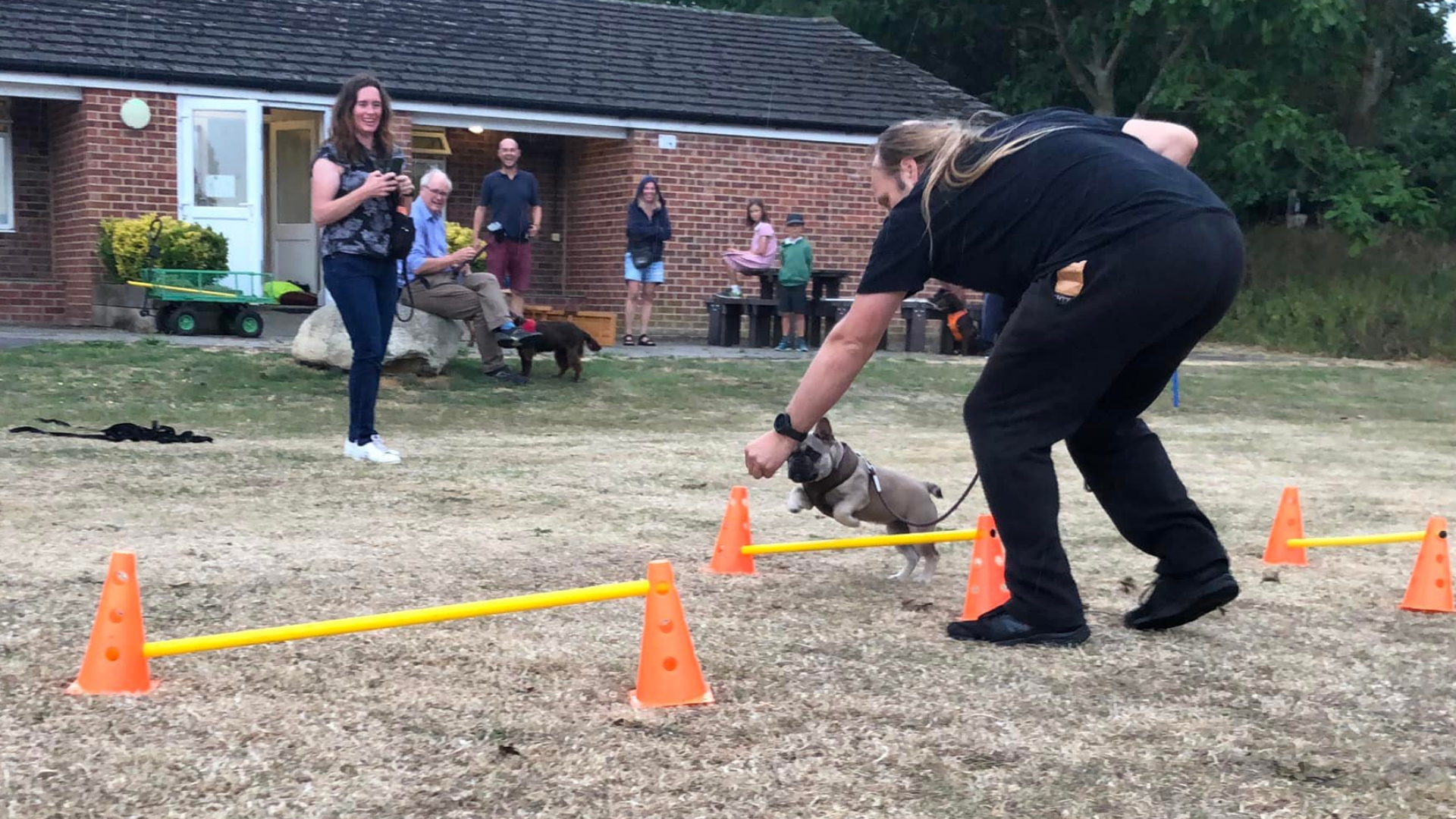 Full image of A crowd of humans and their dogs watches as Dan uses his finger to lead Demmy the dog through an agility course. She's mid-way through leaping over a yellow pole suspended between two mini traffic cones.