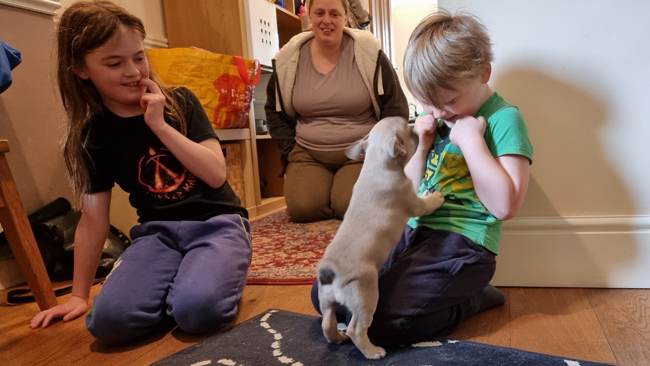 Full image of Ruth, in the background, watches on as a French Bulldog puppy jumps up at her two children, a girl and a boy, in a wood-floored hallway.