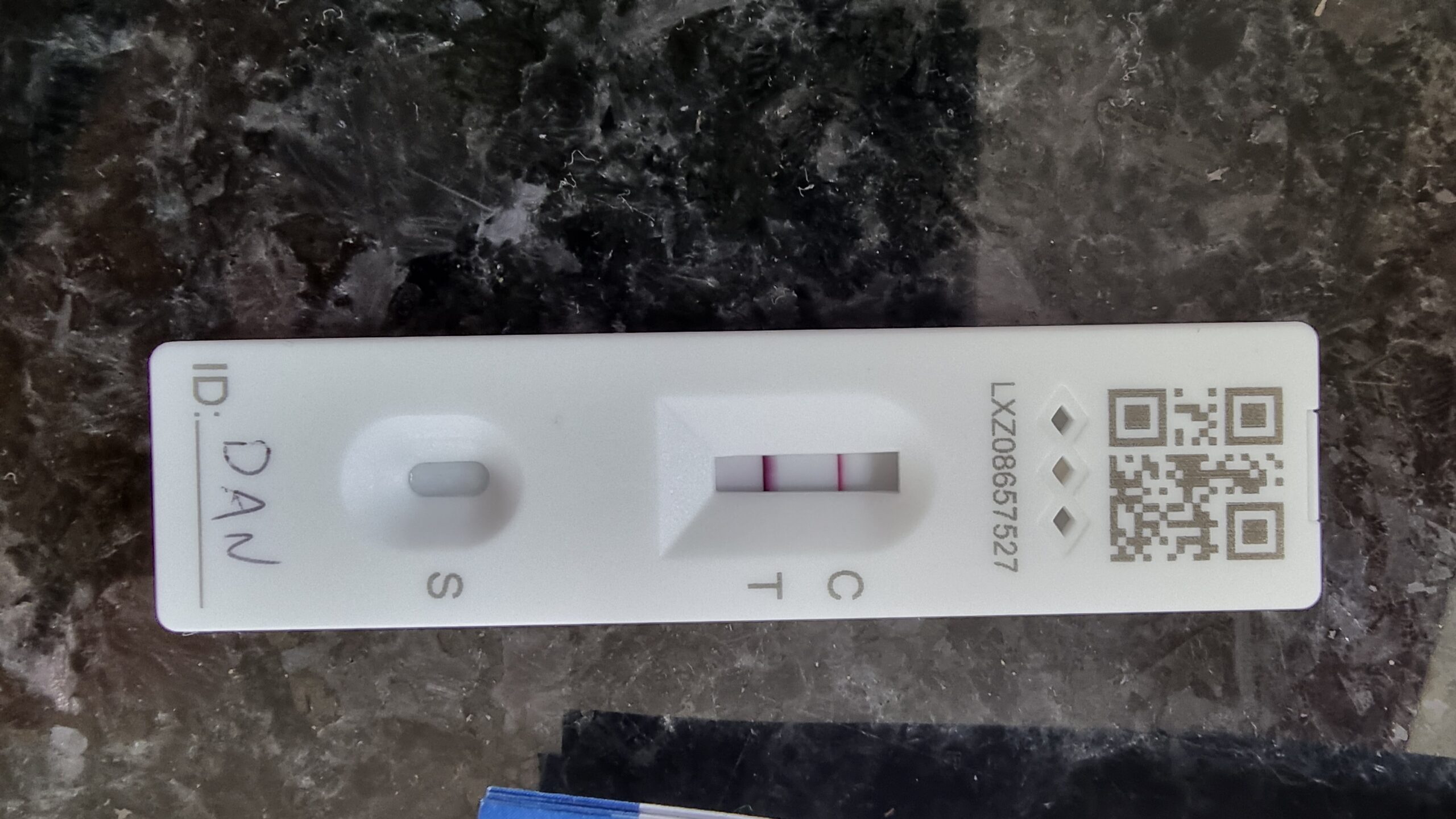 Full image of Lateral flow test, with "DAN" written on it, showing a solid control line and a very clear solid test line: a clear positive result.