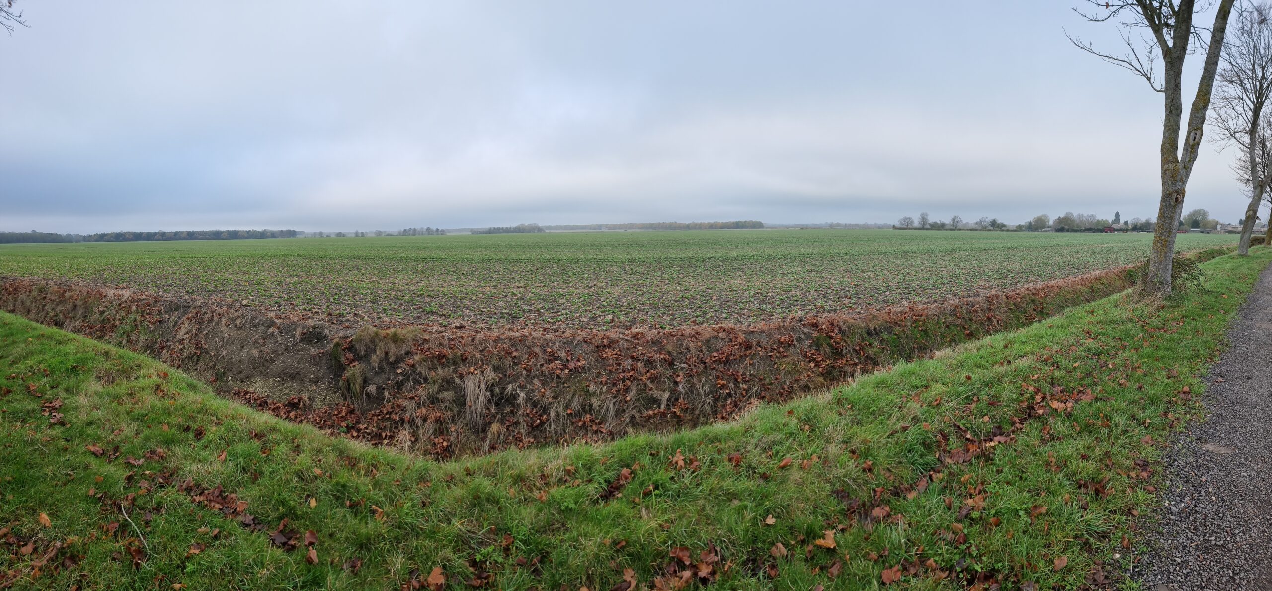Full image of Panorama showing flat autumn fields, fallow, on the other side of a ditch. A distant tree line and farm buildings mark the far end of the field.