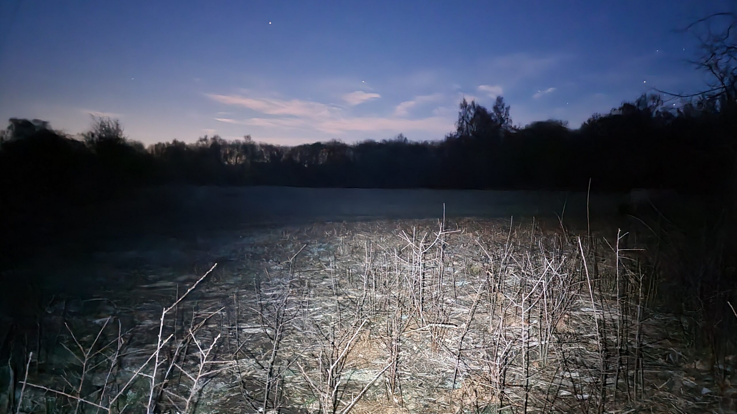 Full image of Long exposure of South Leigh Common: the last of the sunlight disappears behind dark trees; damp frosty ground can be seen by torchlight.