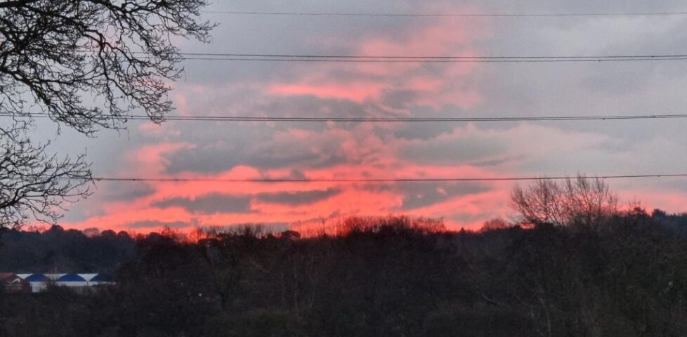 A red, pink and grey sunrise behind power lines and bare trees.