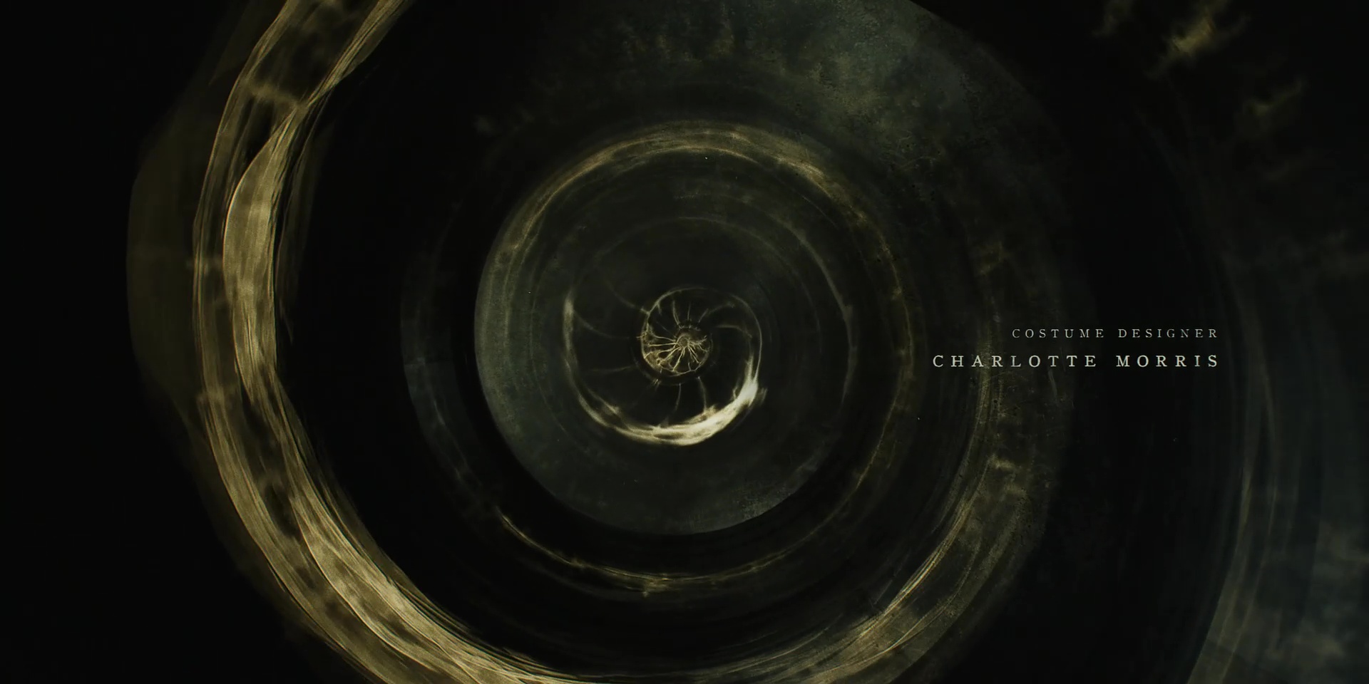 Full image of Swirling spiral of gaseous light with a nautillus shell shape at its centre.