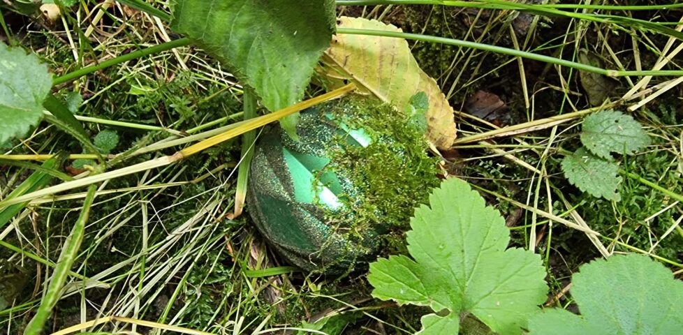 A green bauble buried in the mossy/grassy undergrowth of a forest floor.
