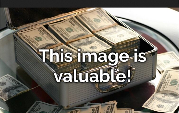 A browser viewing a photo of a box full of money, overlaid with the caption "This image is valuable!". The URL is full of strangely-encoded characters.