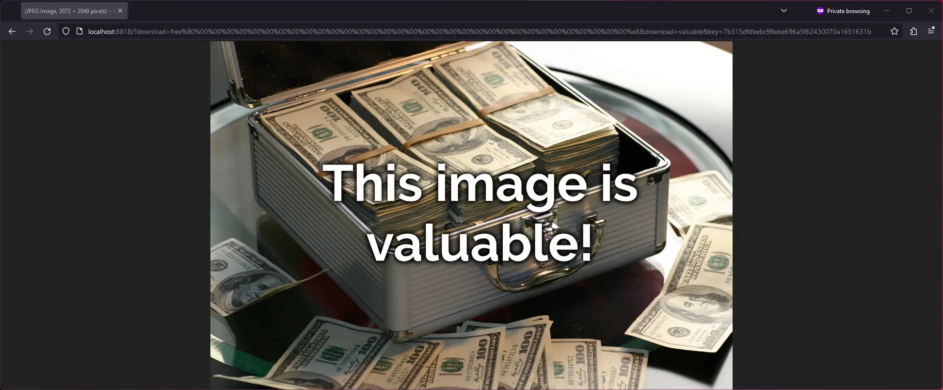 Full image of Browser at the resulting URL, showing the "valuable" image (a pile of money).