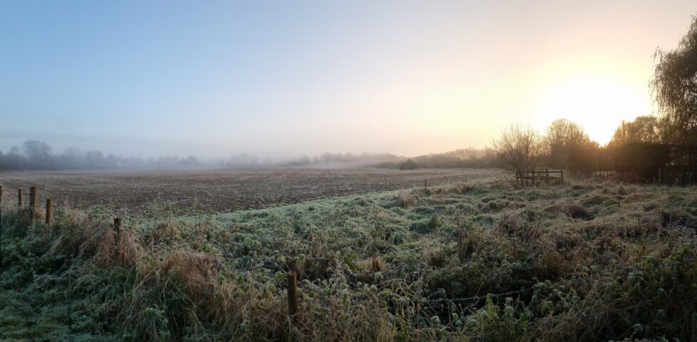 Frosty meadow with frozen fog, with low sunrise barely cutting through, with beginnings of a blue sky barely peeking through.