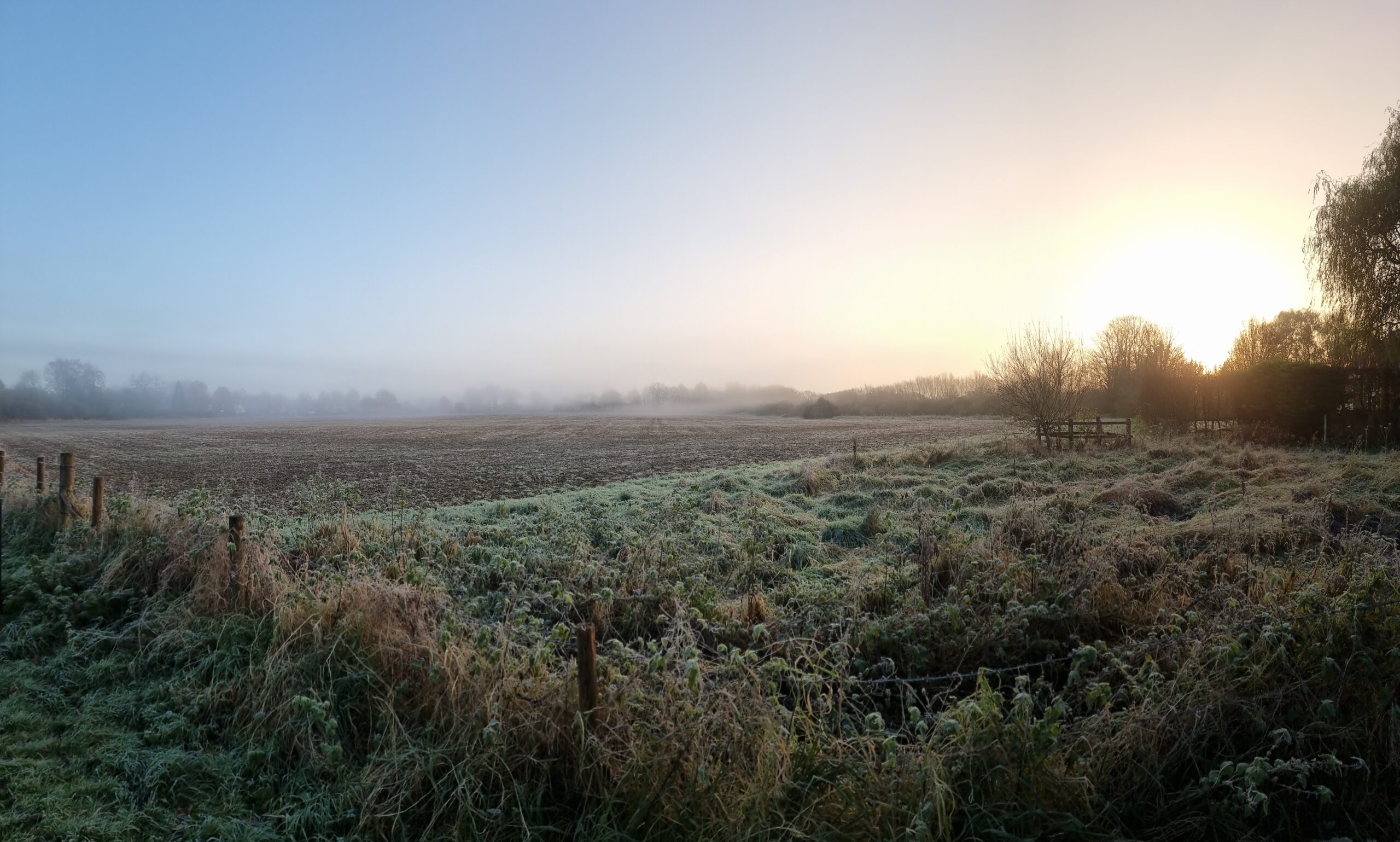 Frosty meadow with frozen fog, with low sunrise barely cutting through, with beginnings of a blue sky barely peeking through.