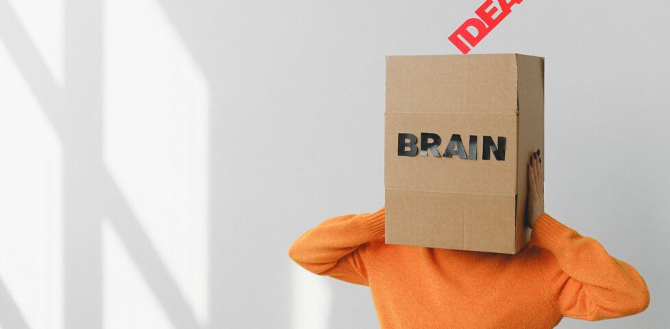 A person wearing a cardboard box on their head, labelled "BRAIN". Above, a hand reaches from out-of-frame to hold a sign labelled "IDEA" above them.