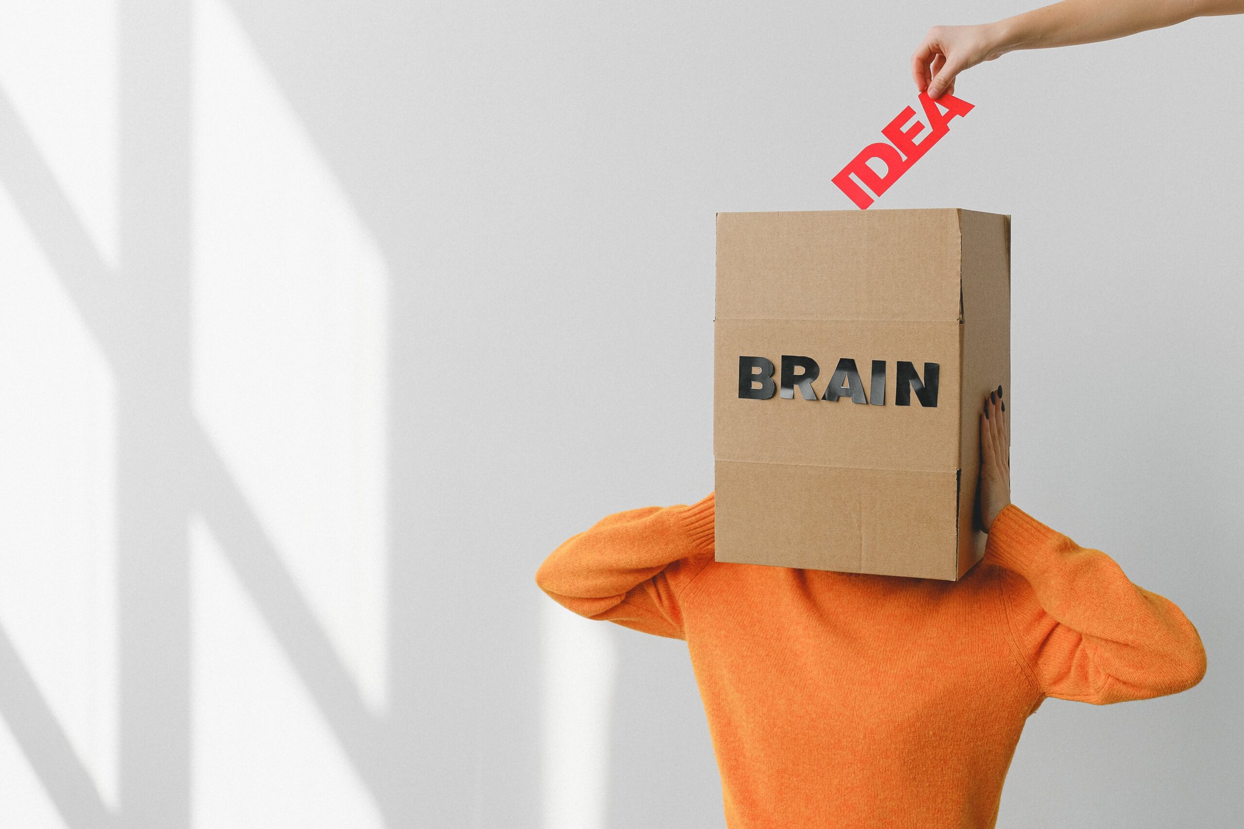 Full image of A person wearing a cardboard box on their head, labelled "BRAIN". Above, a hand reaches from out-of-frame to hold a sign labelled "IDEA" above them.