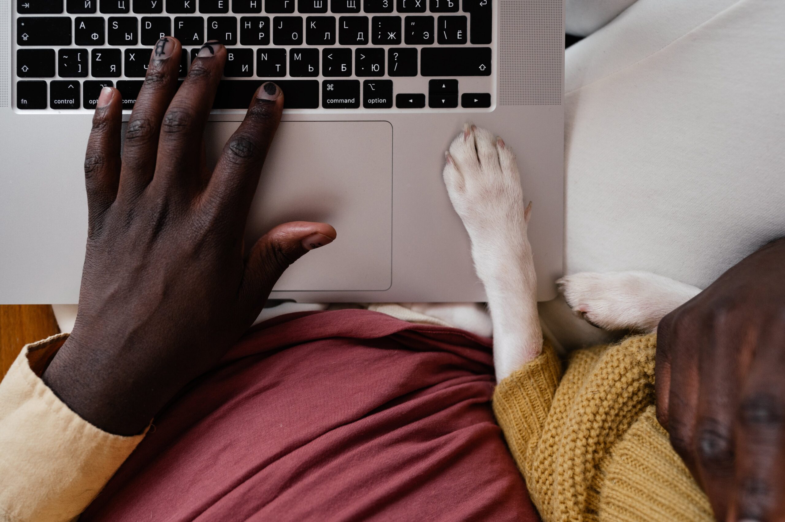 Full image of A laptop keyboard with a black man's hand and a cream-coloured dog's paw resting on it, seen from above. (Almost-matching) sleeves can be seen on the limbs of both.