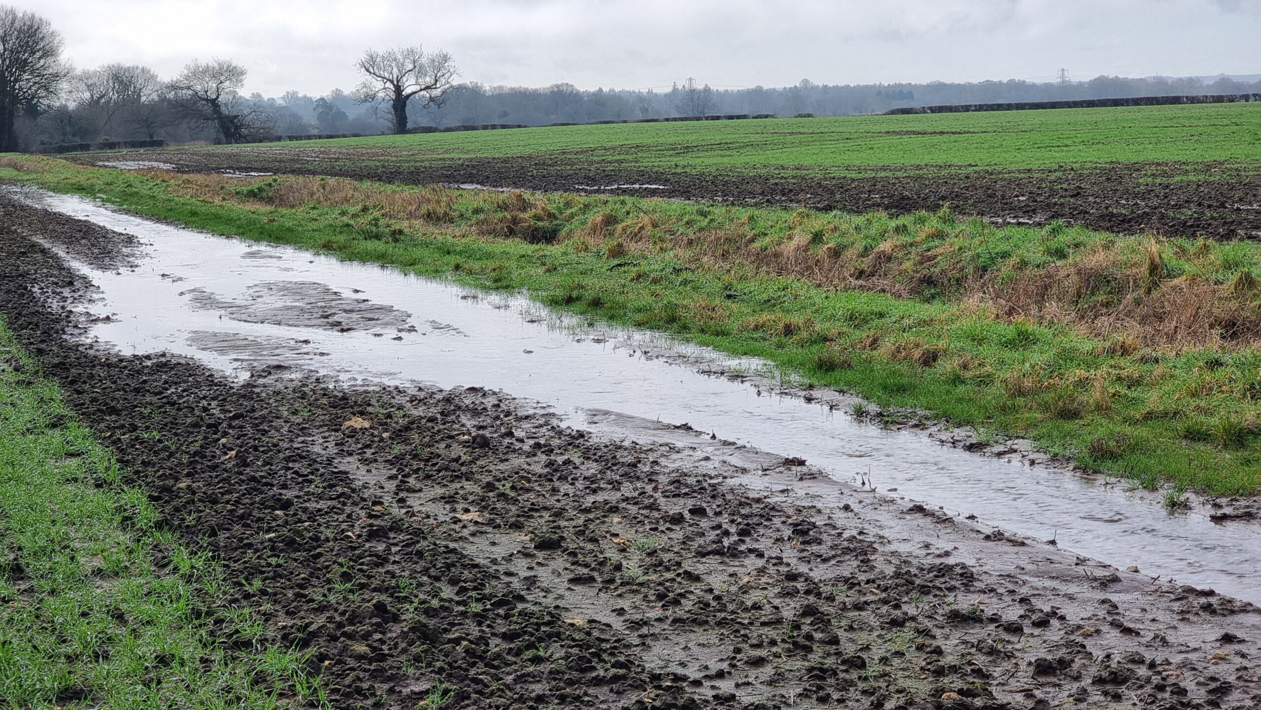 Full image of A waterlogged path alongside a field.