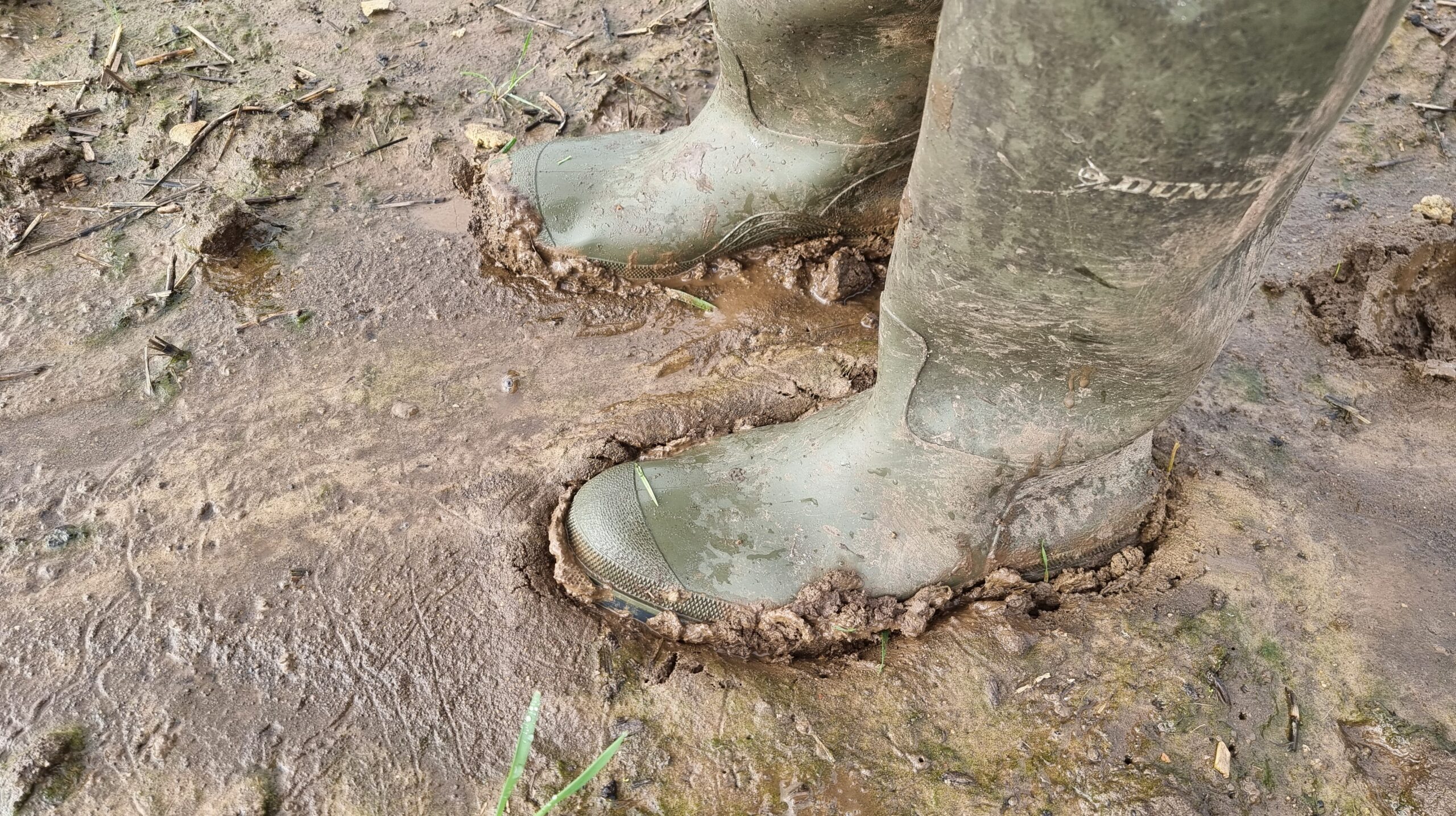 Full image of Green Wellington boots in deep sticky mud.