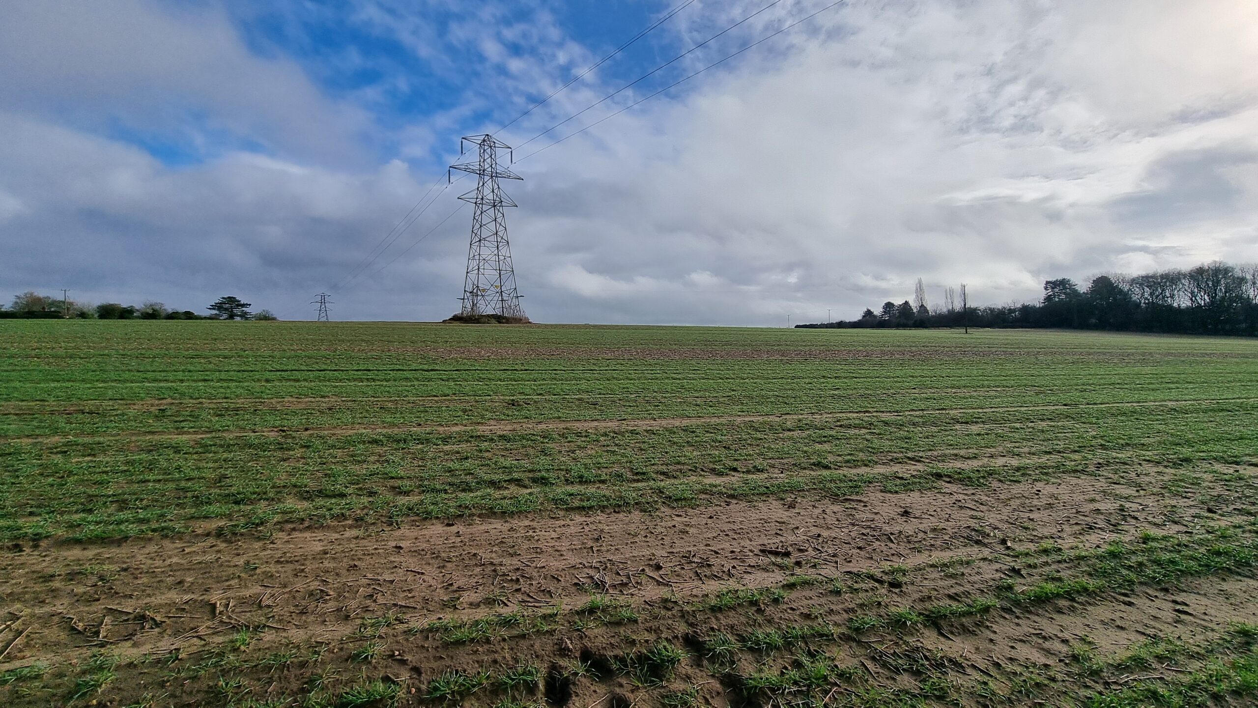 Full image of An electricity pylon stands along in a green/brown field.