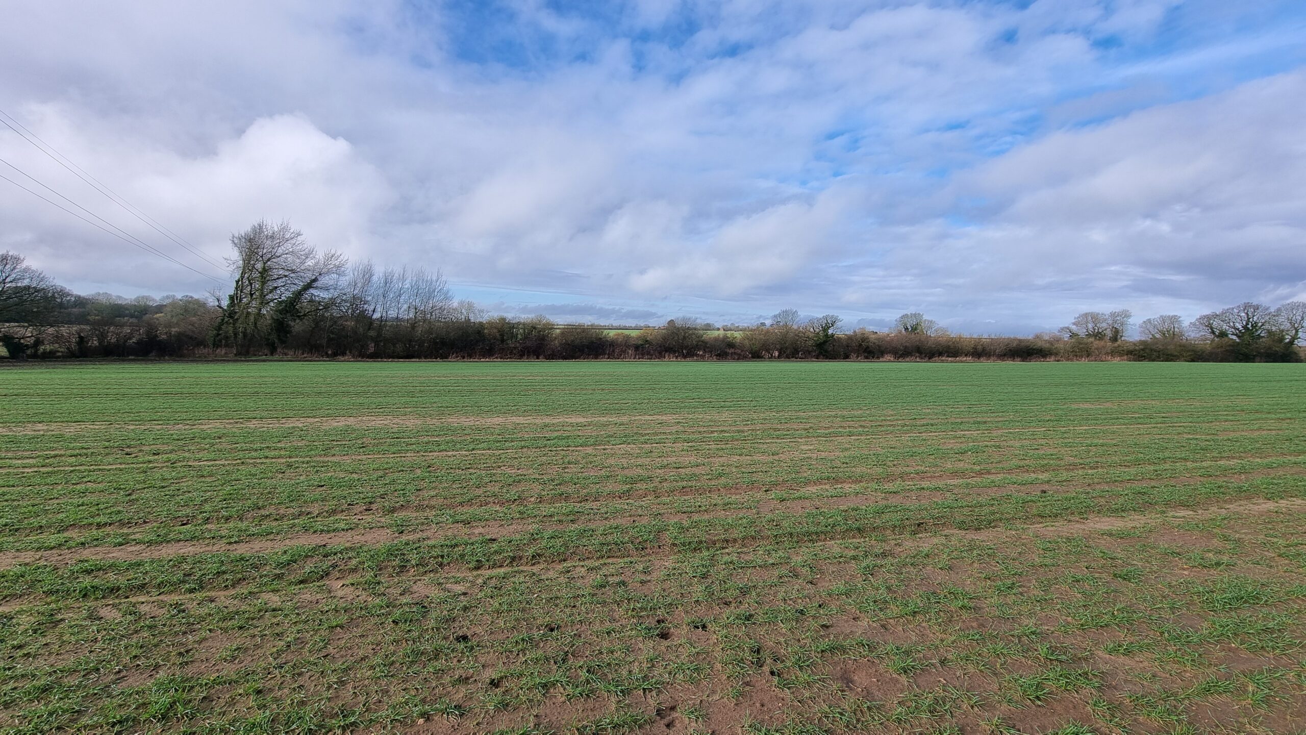 Full image of The edge of a field, becoming increasingly waterlogged into the distance.