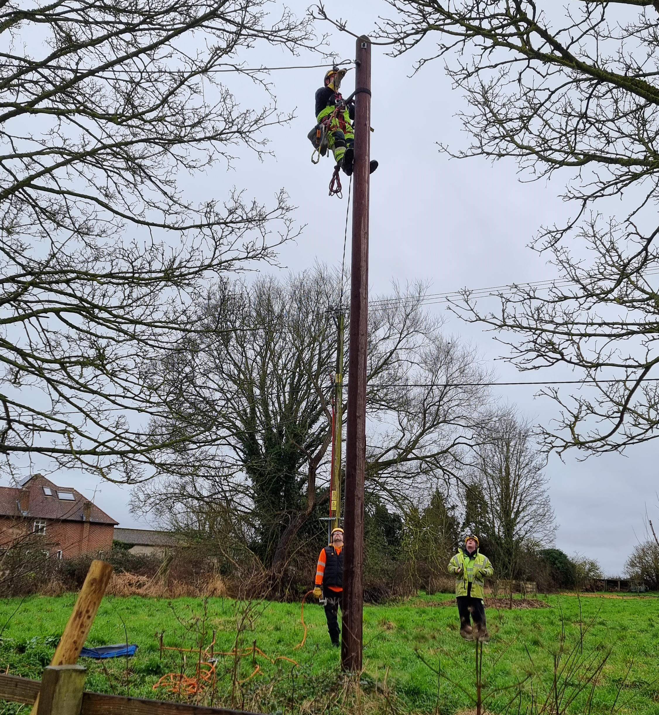 Full image of A linesman hangs from his climbing belt at the top of a pole, while two others look on from the ground.
