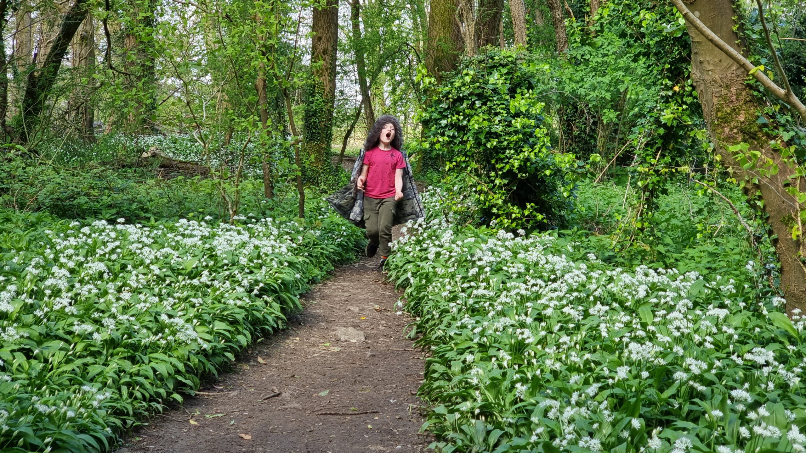 Full image of A 7-year-old wearing his coat inside-out and as a cape runs excitedly into a forest path overgrown with wild garlic.