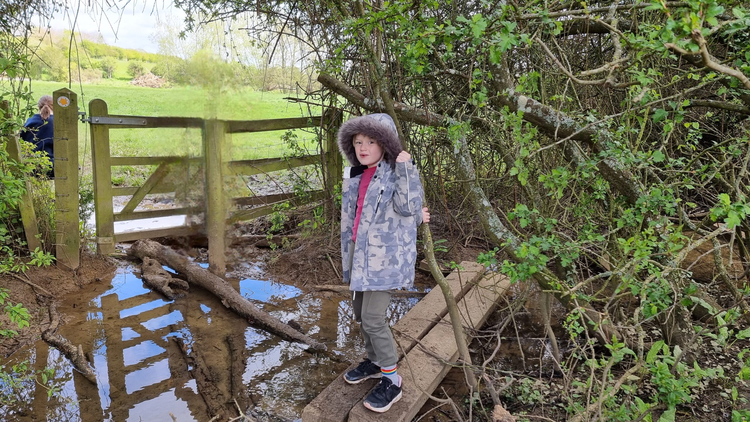 Full image of A 7-year-old boy in a grey camo coat balances on a blank over a large muddy puddle: he's about to attempt to cross a log to a gate into the next field (which also looks pretty wet). Ruth, who doesn't much like featuring in photos, has been digitally-removed from this one (she was standing at the far side ready to catch the balancing child!).