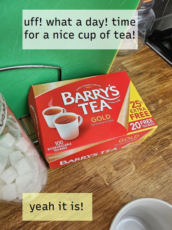 Screenshot from "A Proper Cup of Tea", showing the start of the game.
