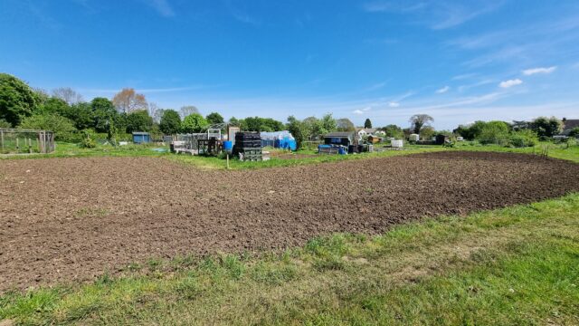 Sunny allotments.