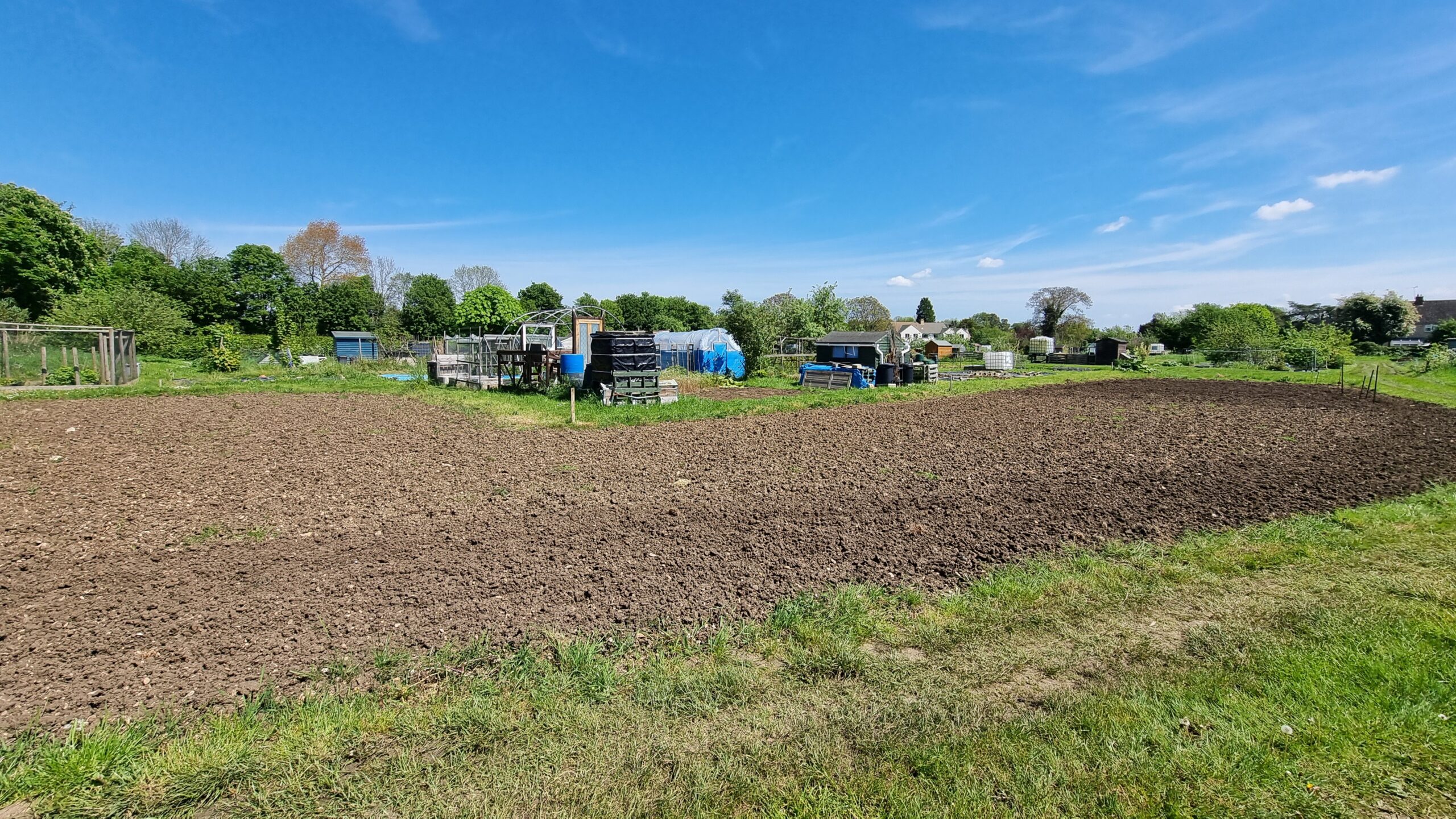Full image of Sunny allotments.