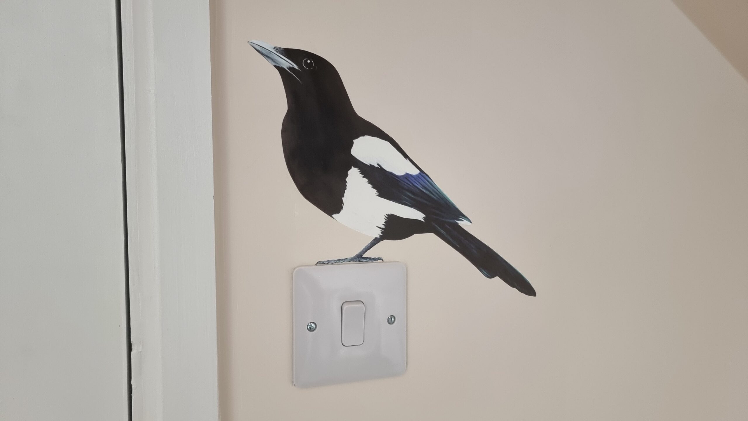 Full image of Magpie decal 'perched' on a light switch.