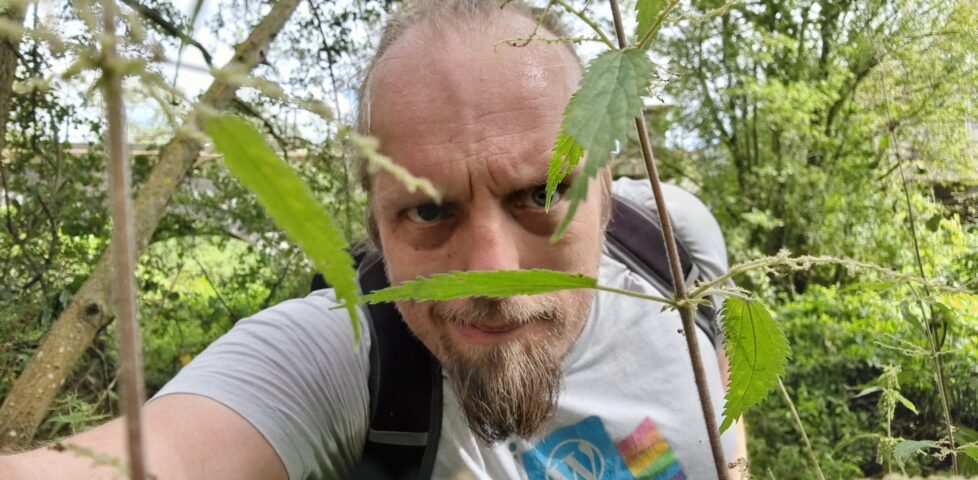 Dan pushes his way through tall nettles.