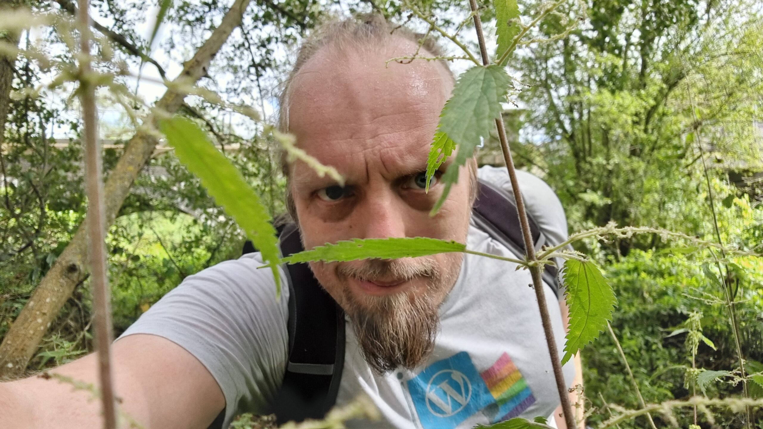 Full image of Dan pushes his way through tall nettles.