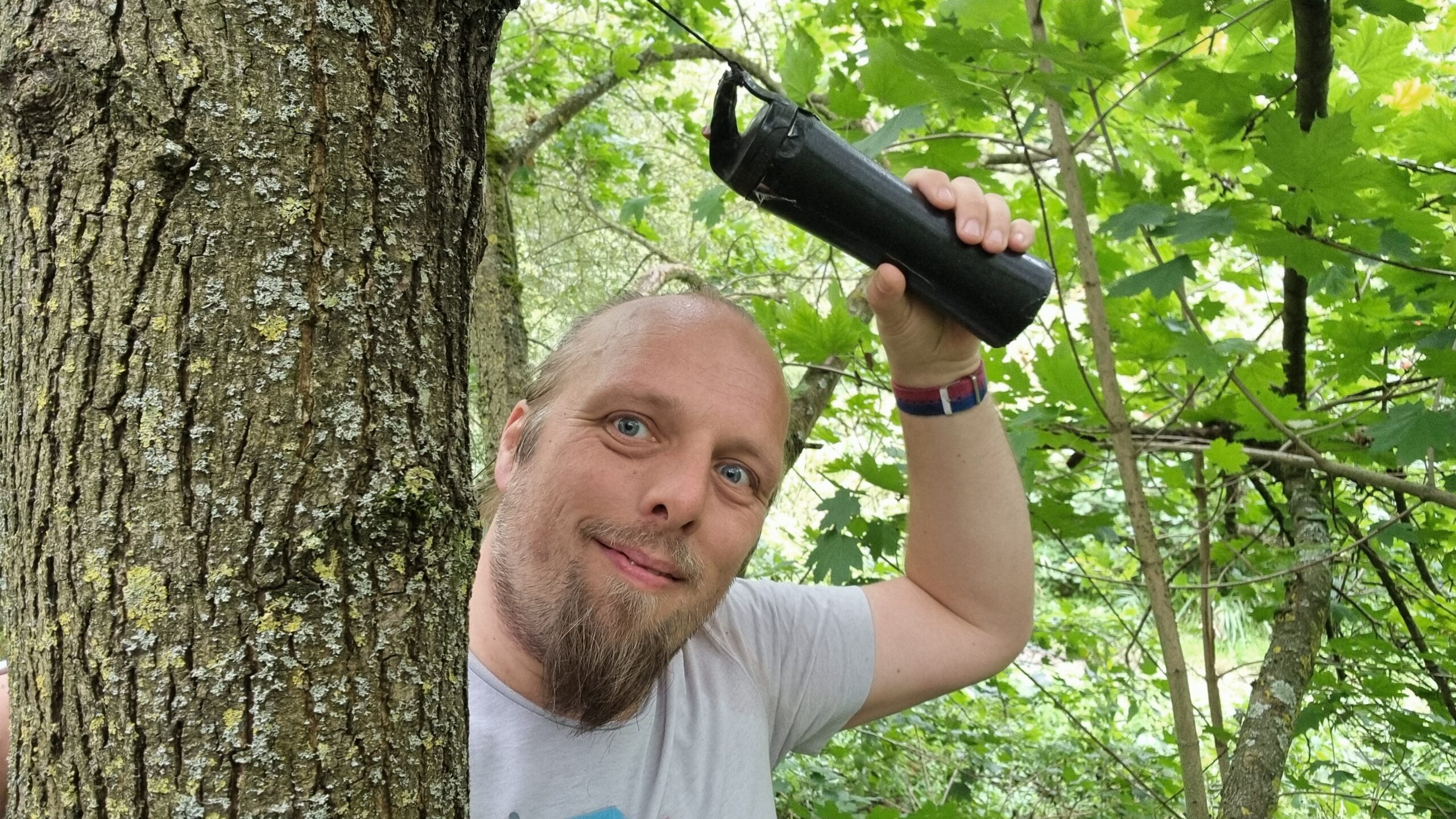 Full image of Dan, up a tree, holds a geocache secured high up the trunk.