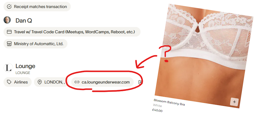 Full image of Screenshot from expenses system indicating that a purchase was made at loungeunderwear.com, with a photo showing an example of something sold at that website - a lacy bra - overlaid.