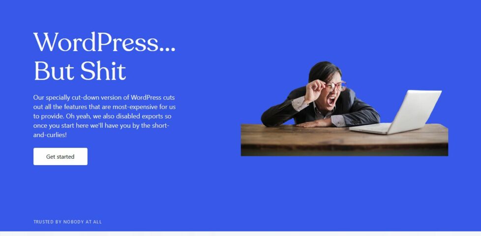 Fake web screenshot showing turdpress.com, "WordPress... But Shit".