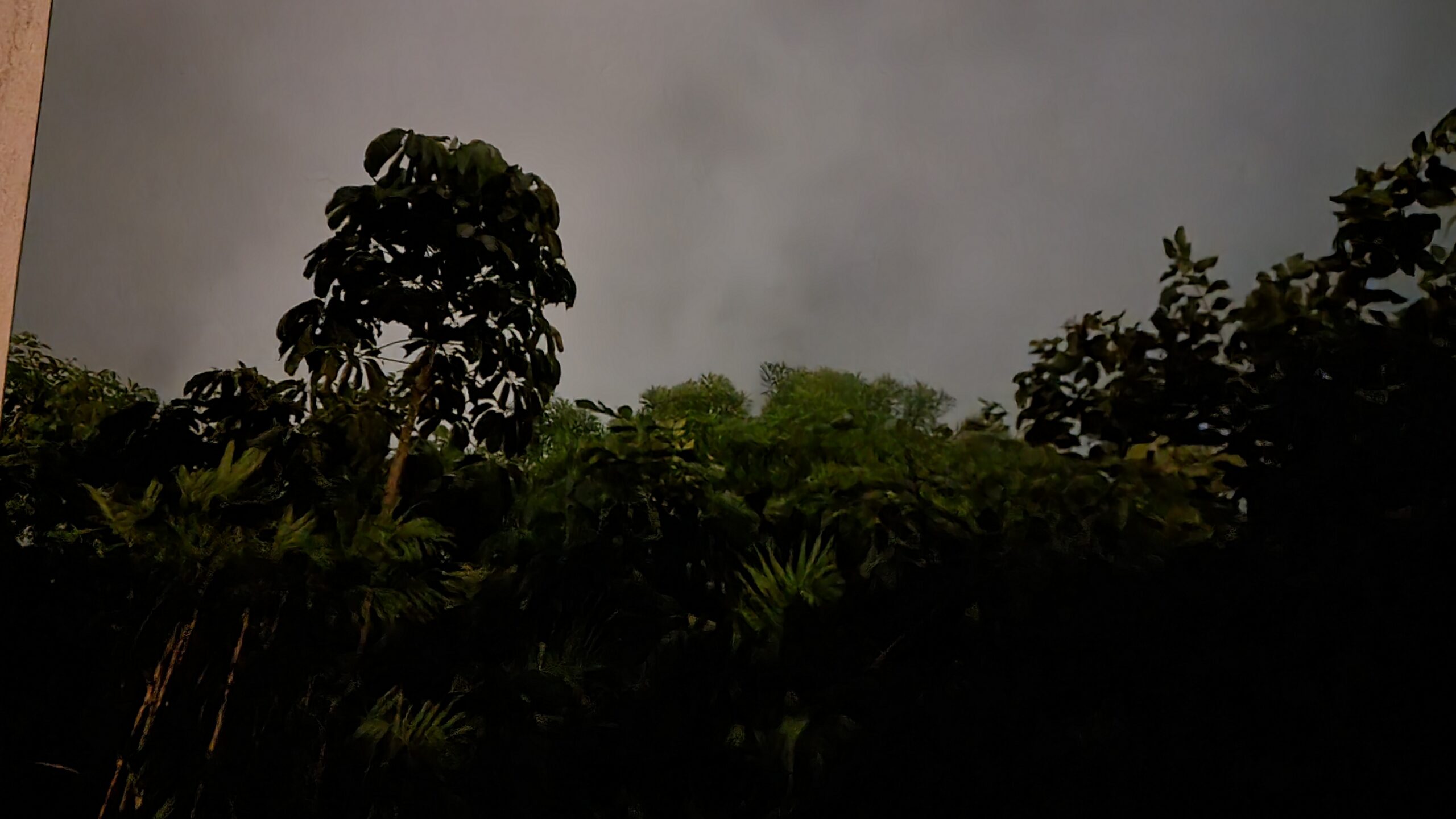 Full image of Tropical vegetation under stormy skies. Long exposure in pre-sunrise light.