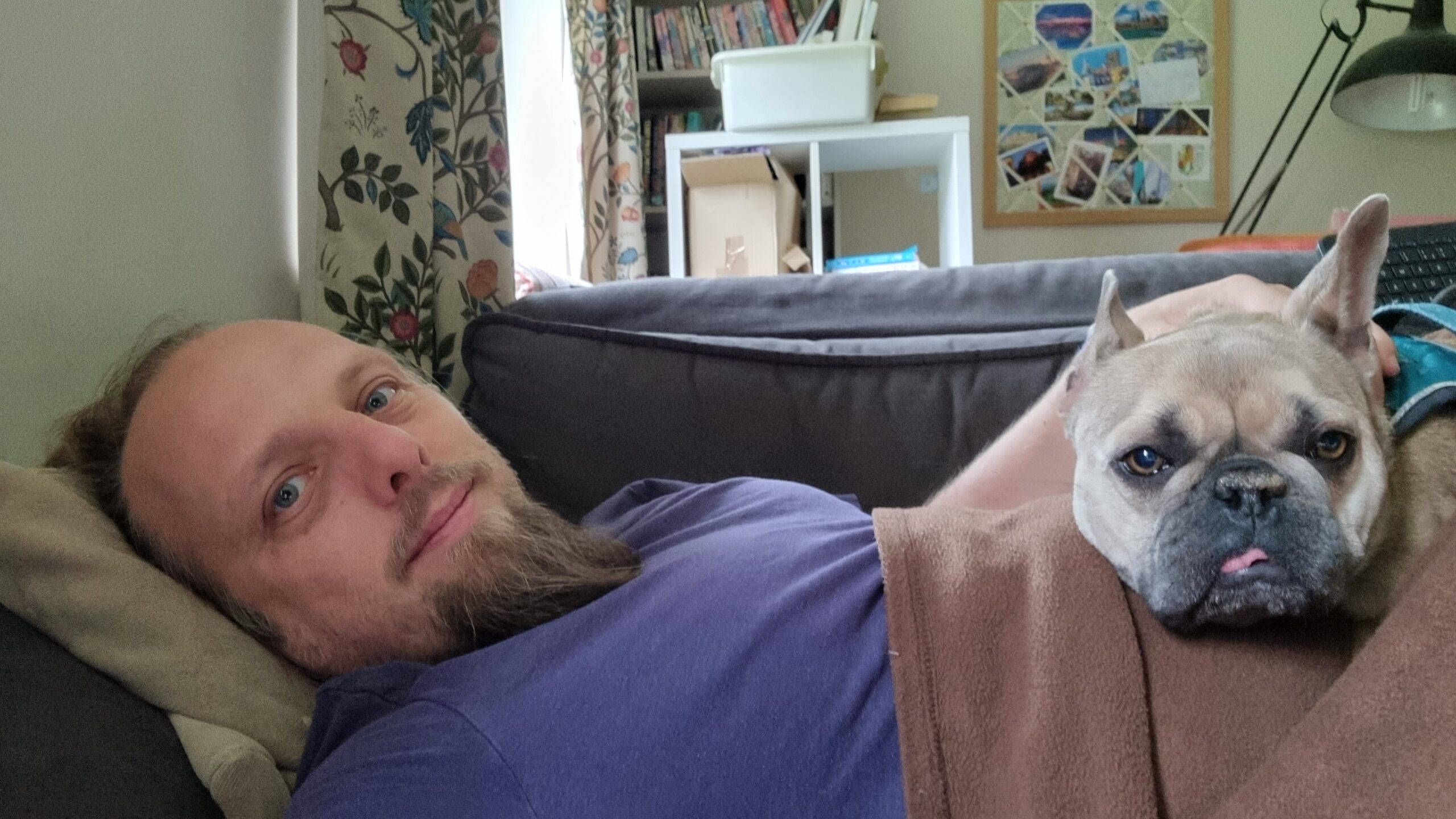 Full image of Dan, lying on a sofa under a brown blanket, on top of which is a contented-looking French Bulldog.