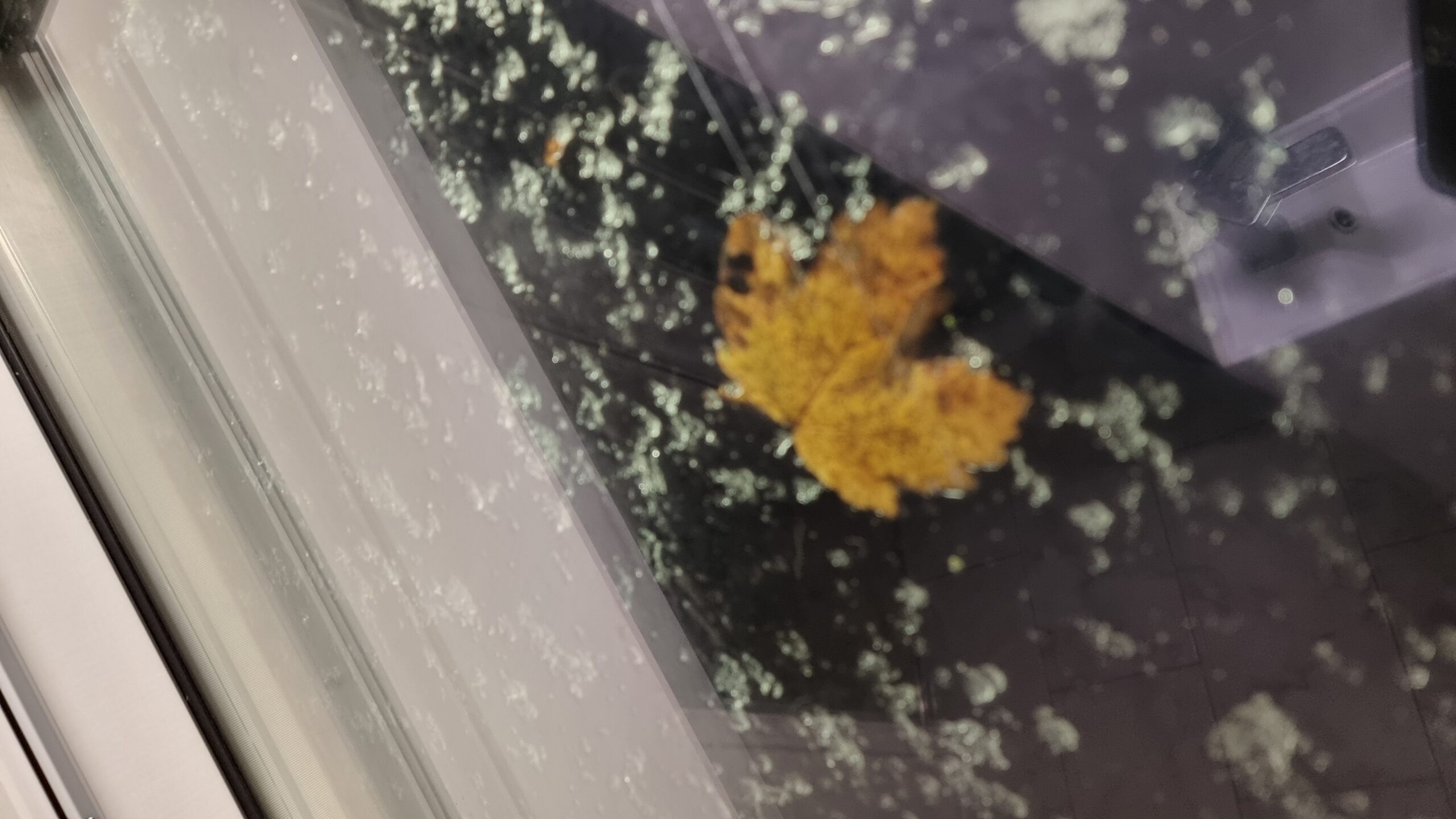 Full image of Photo from the inside of a skylight, showing icy snow and a fallen brown leaf stuck to the other side. A reflection of a small bathroom sink can just be made out.