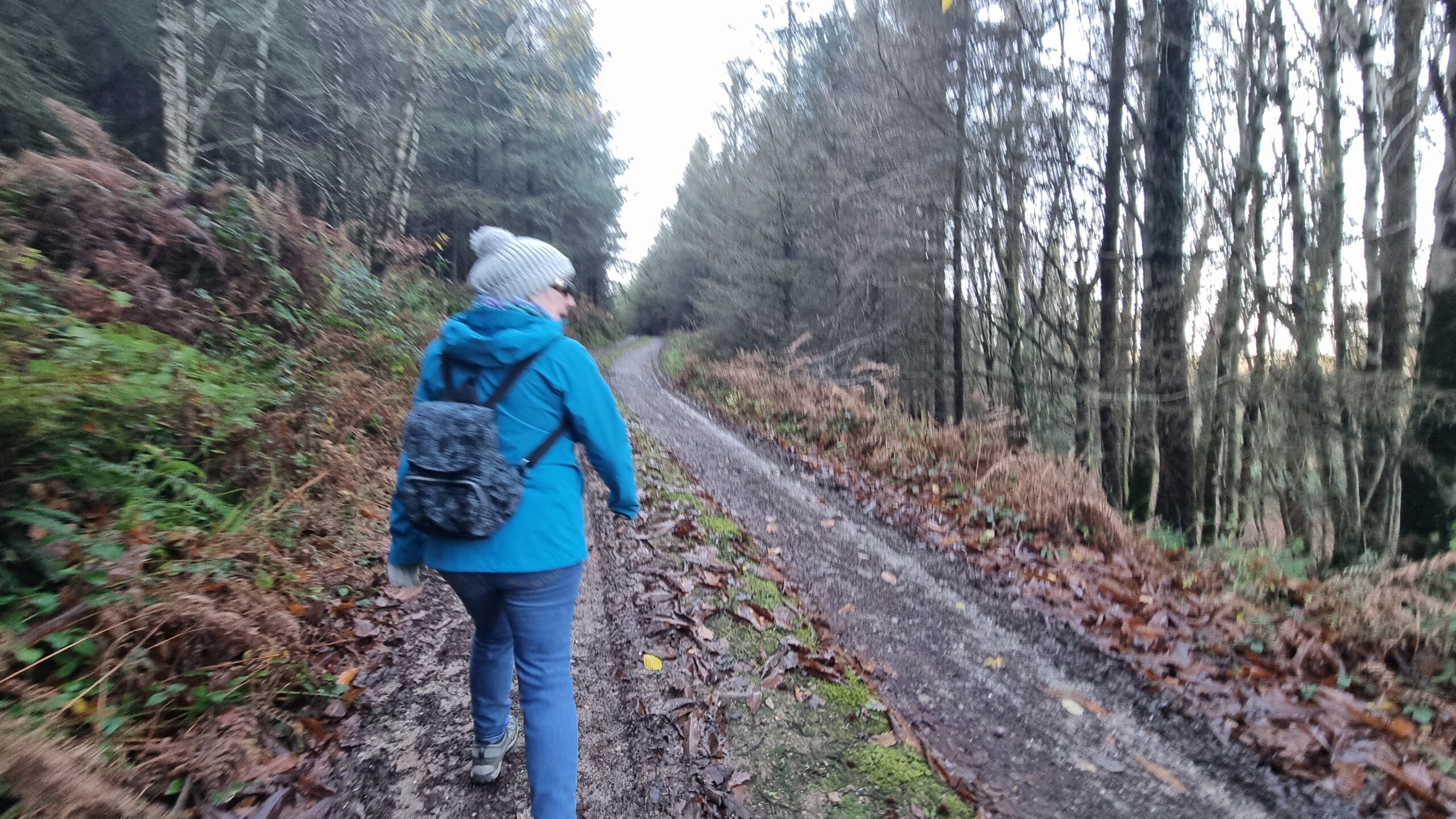 Full image of A woman wearing a grey bobble hat and a blue coat walks away down a forest track.