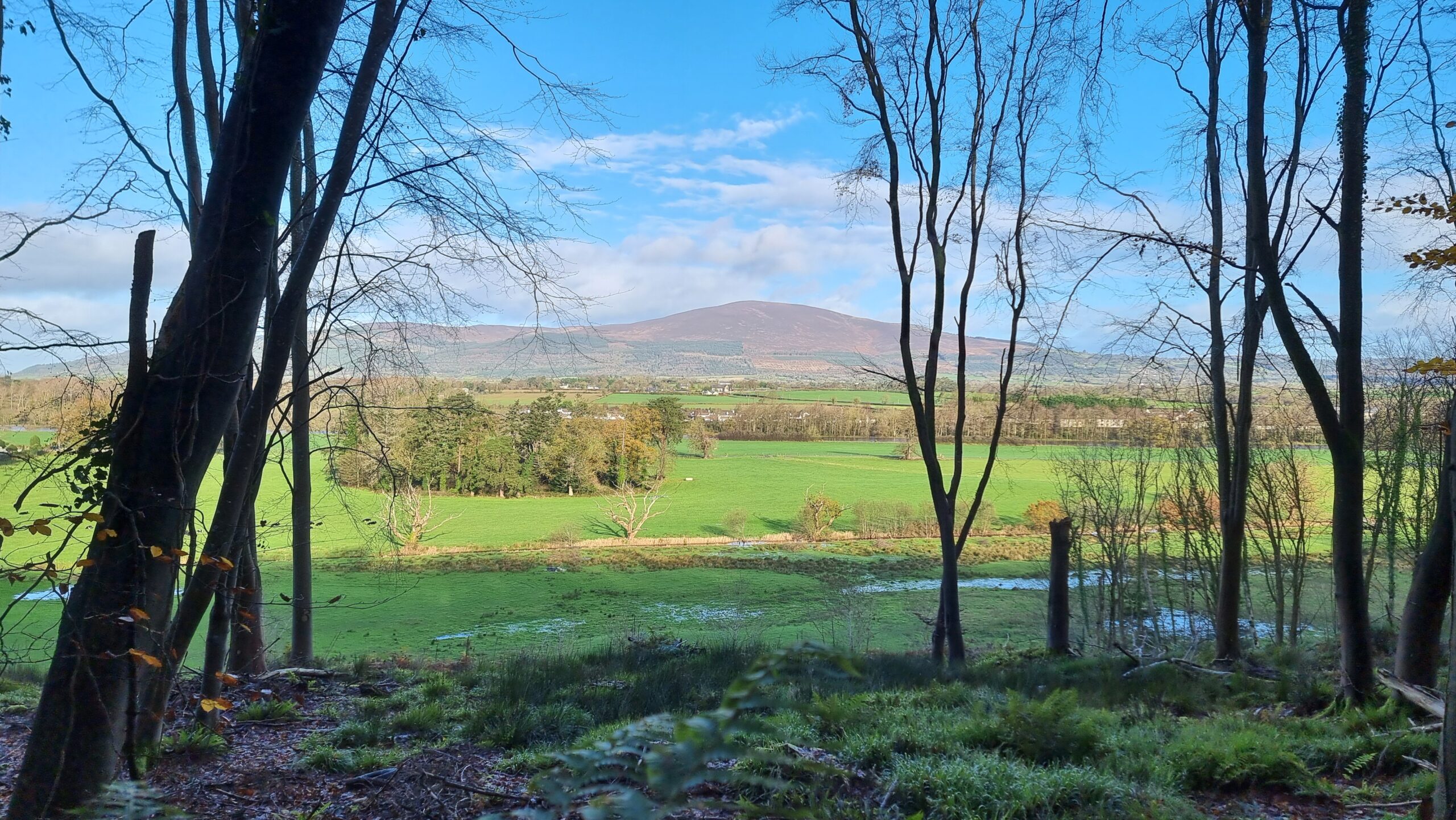 Full image of Under a blue-white sky, a rounded hill towers over a fertile green valley dotted with little white houses, as seen from between the trees of an ancient forest.