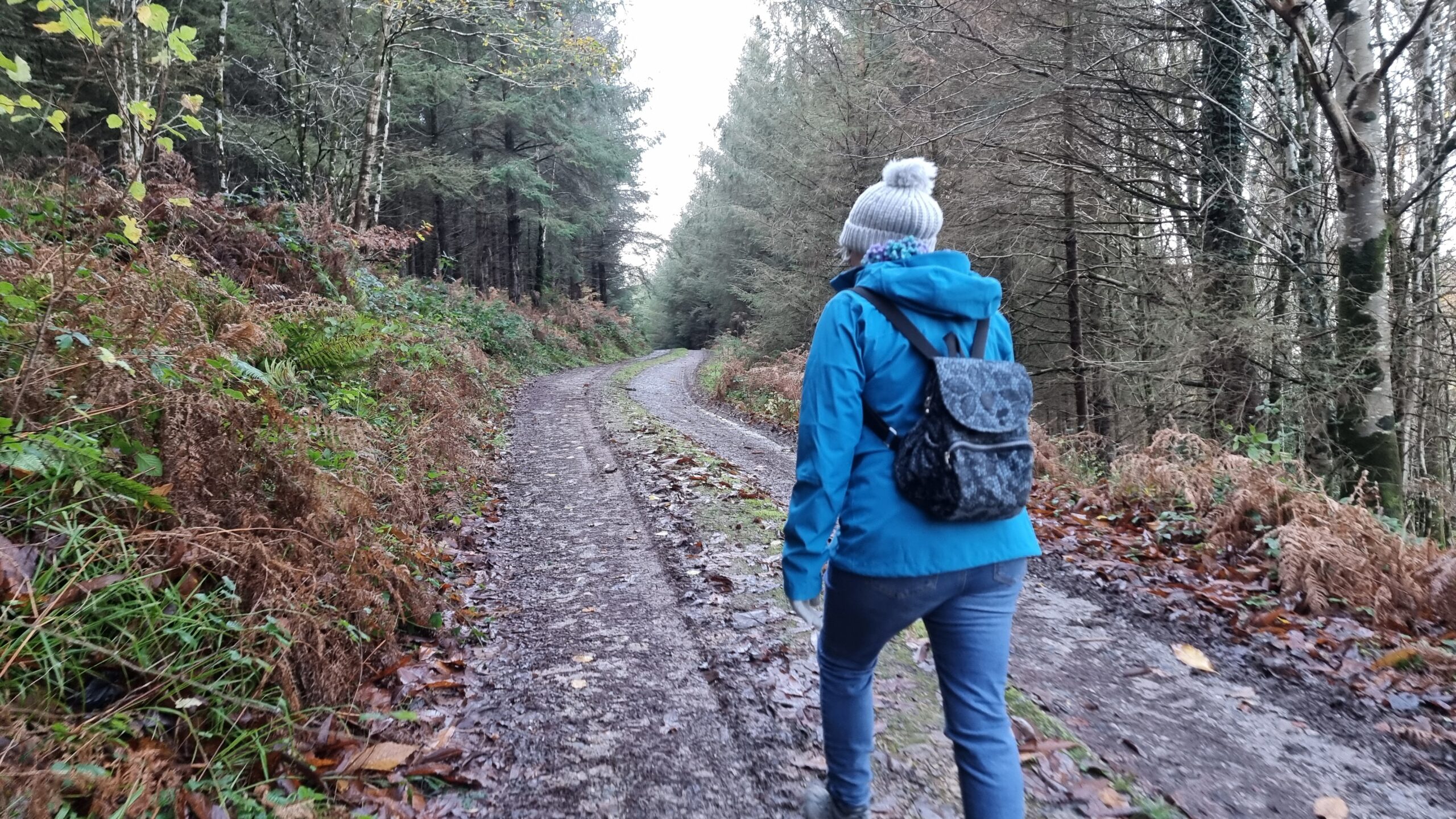 Full image of Dan's mum climbs a hill into a forest.