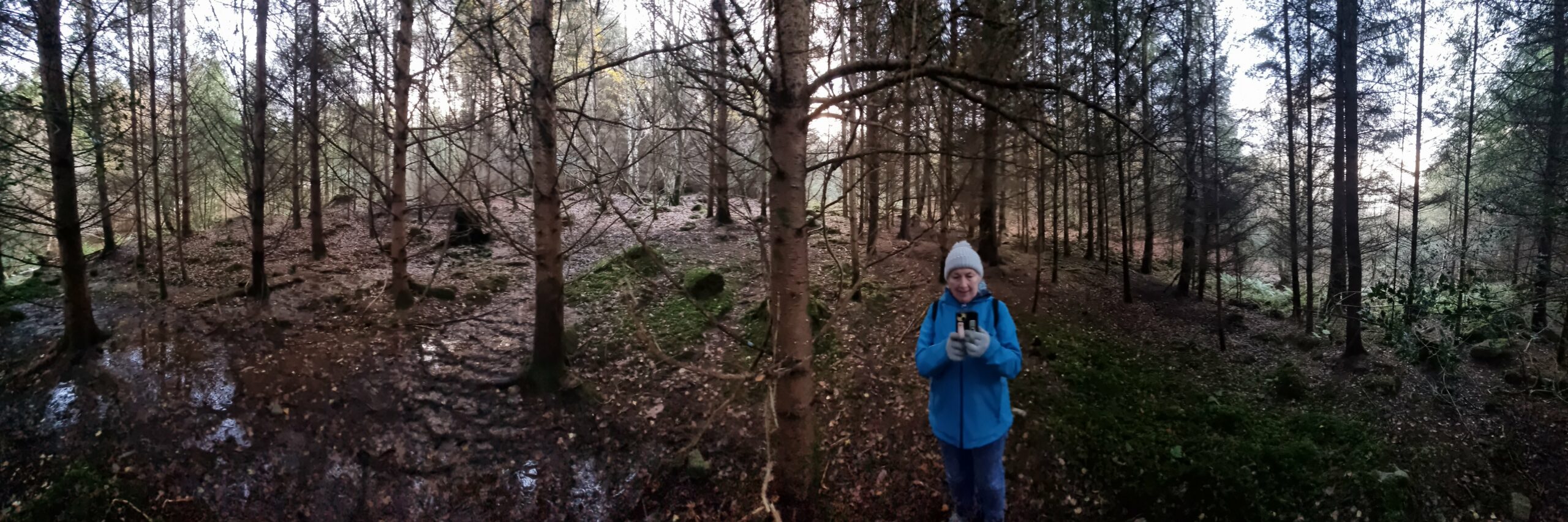 Full image of Panoramic view of a forest with a woman in it.