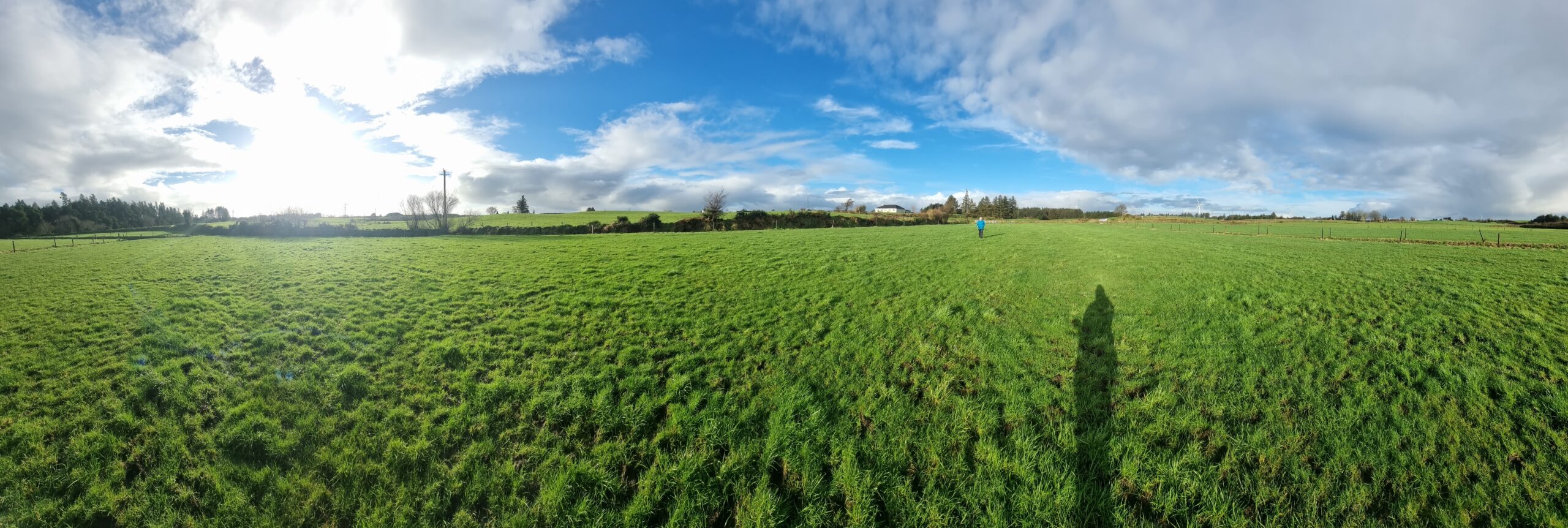 Full image of Panoramic view showing many fields, bordered by hedgerows and distant forests.