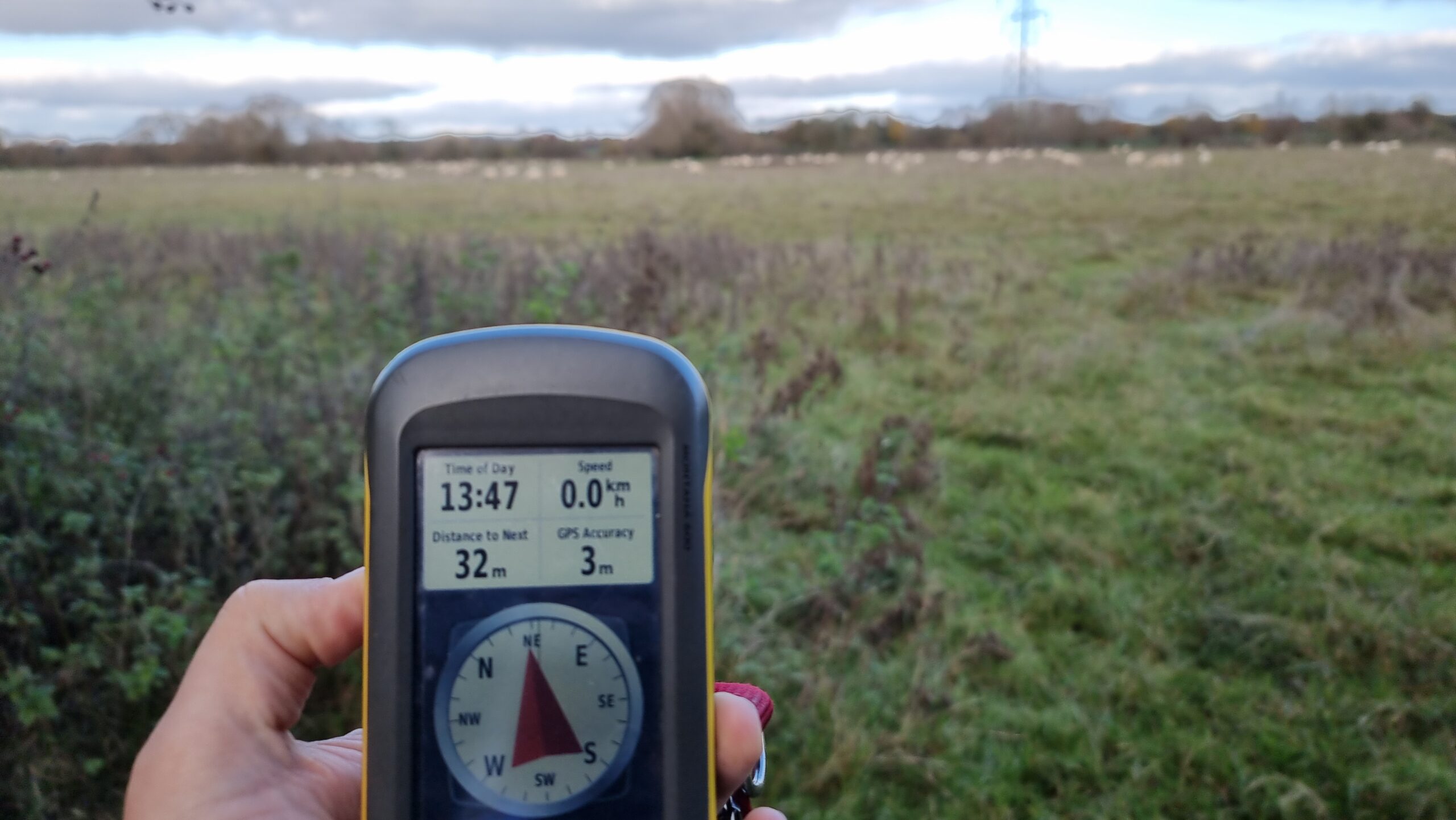 Full image of GPS receiver in front of a field. The compass points deeper into the field and the screen reports that the destination is 32 metres away. Sheep are (barely) visible in the field, in the distance.