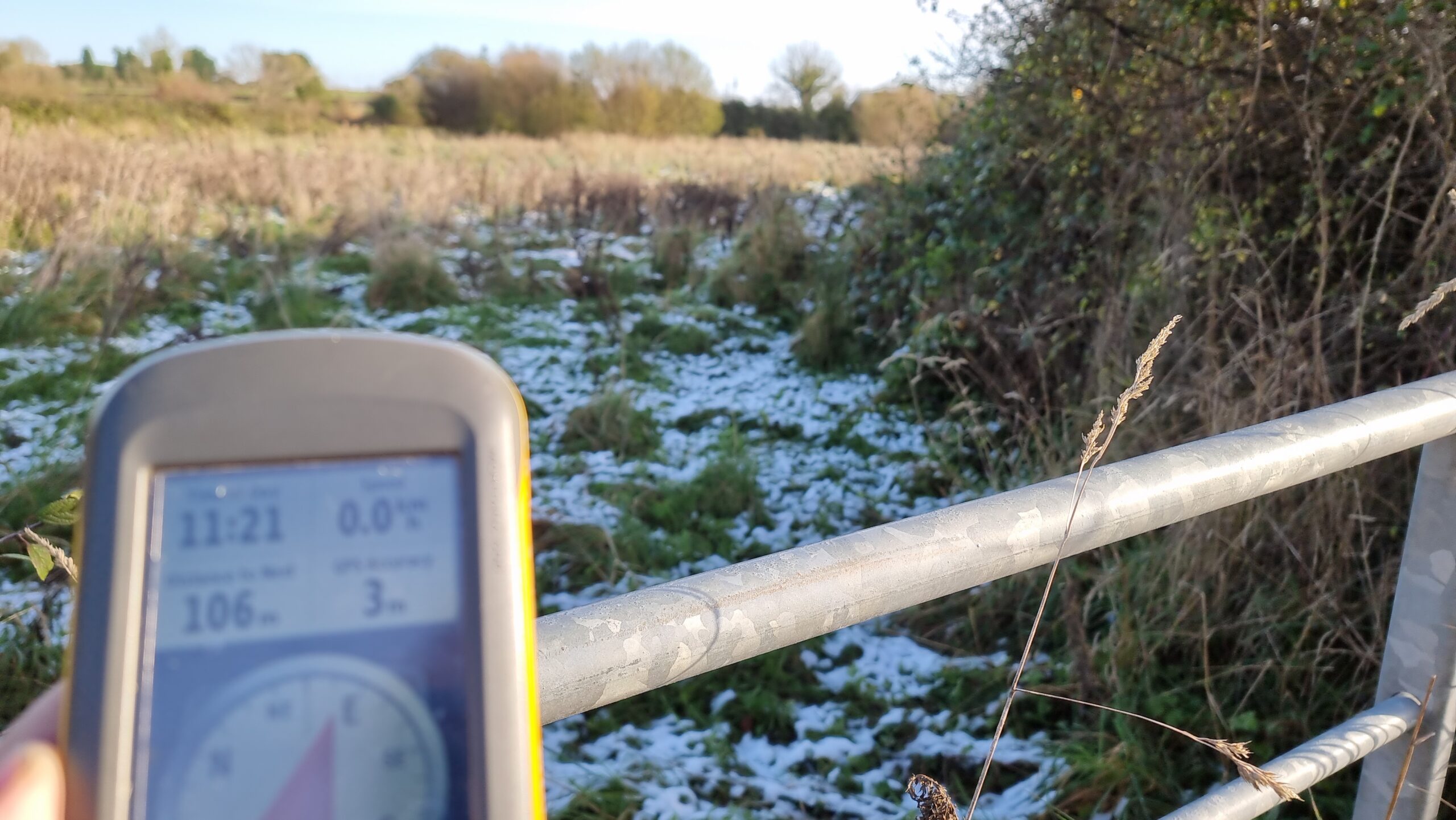 Full image of GPSr showing 106m, snowy overgrown field ahead.
