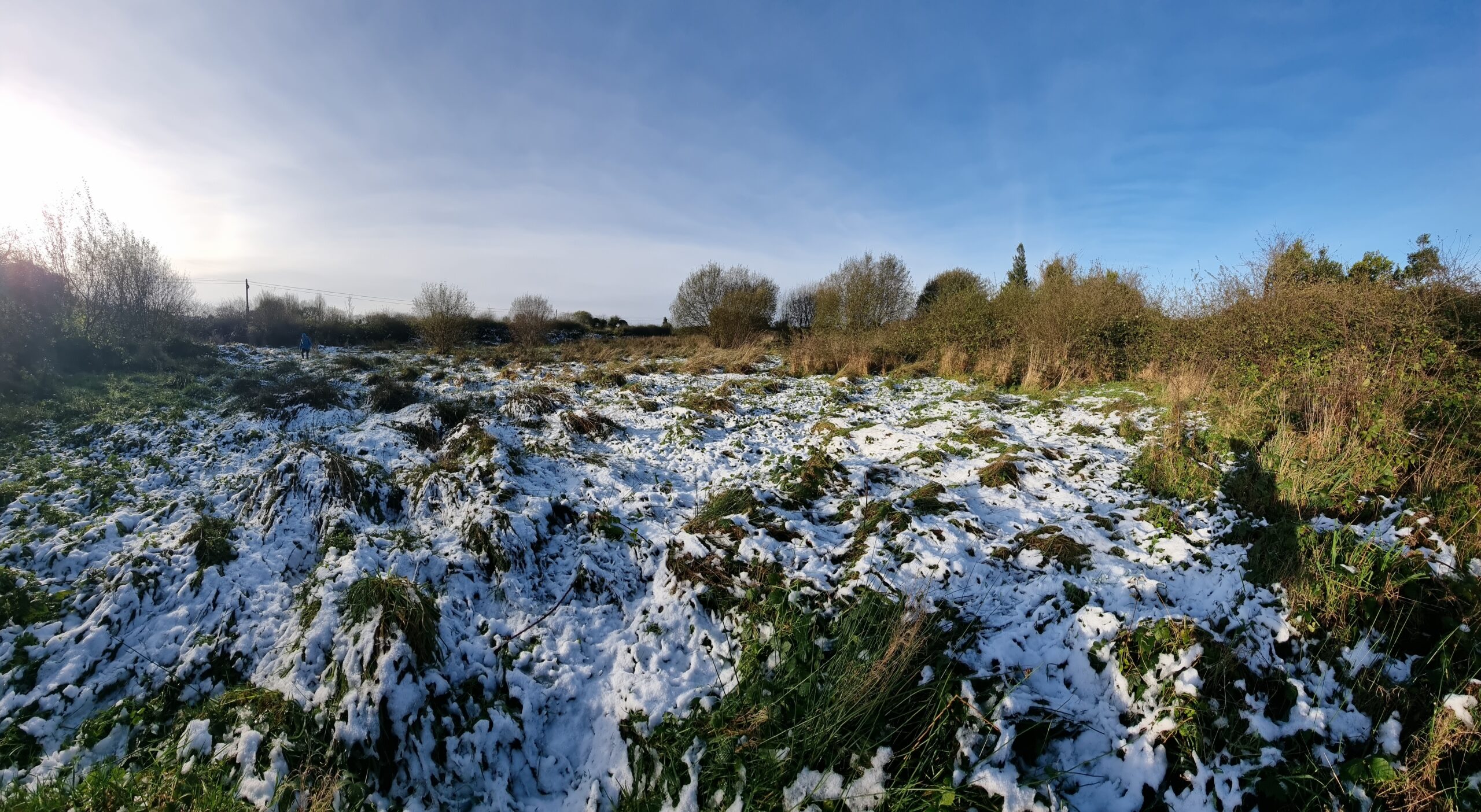 Full image of Snowy field.