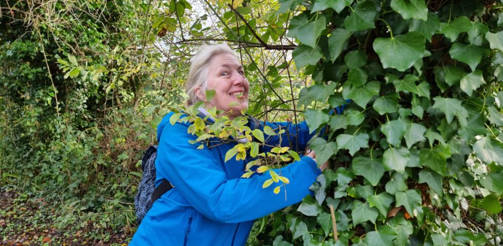 A woman with white hair, wearing a blue coat, grins maniacally as she reaches deep into an ivy-covered tree.