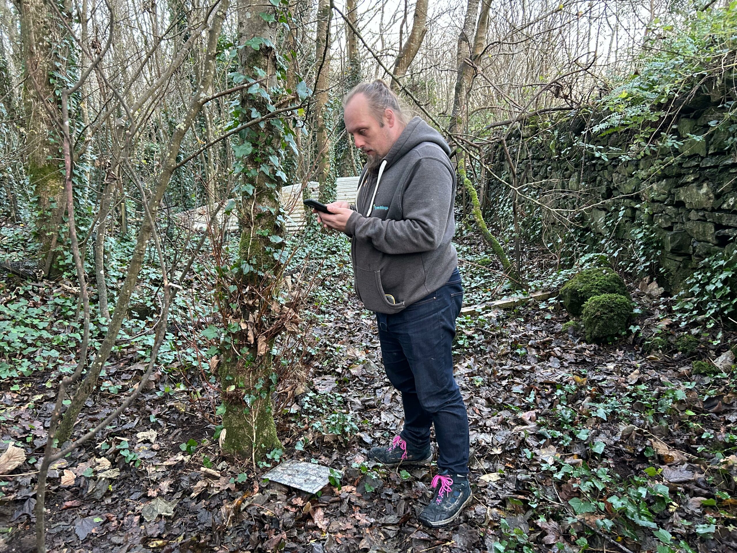 Full image of Dan stands in a forest alongside a dry stone wall, looking at his phone. Near his feet, an A4-sized camouflaged board lies with a small white circle of card atop it.